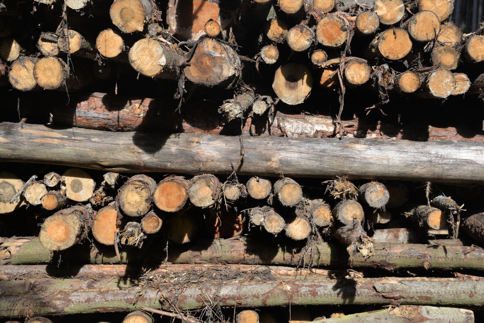 Nikon D610 sample photo. Pile of wood, aesthetic photography