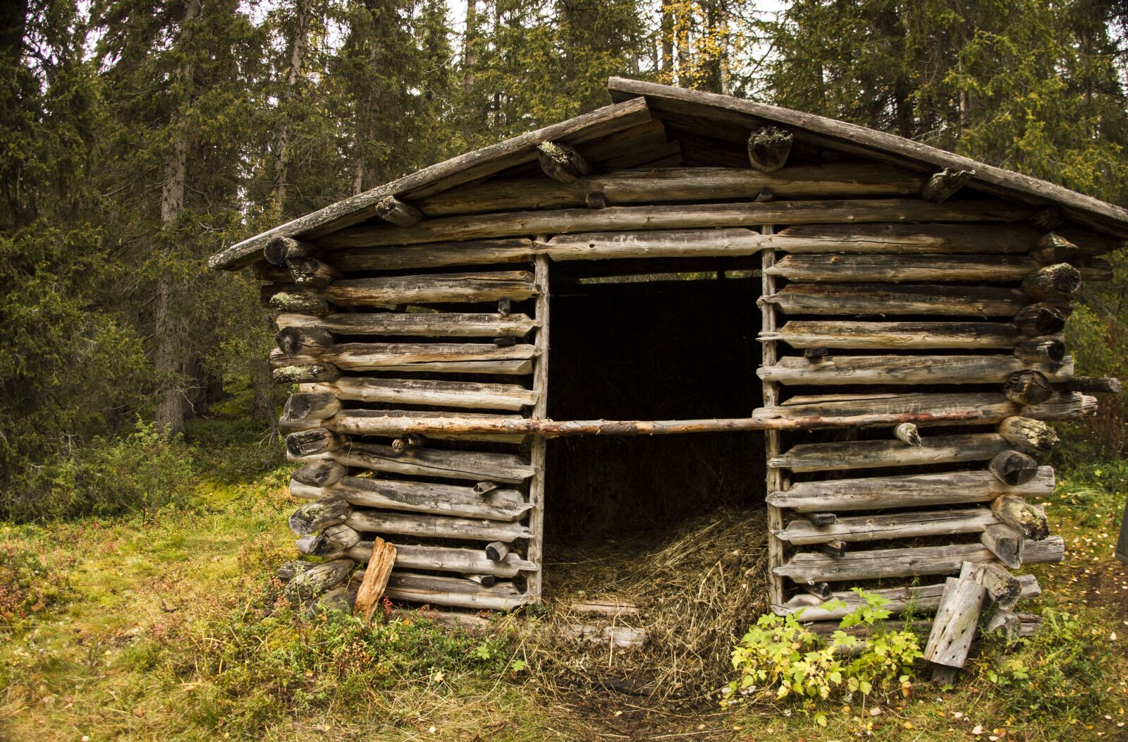 Canon EOS 7D sample photo. Forest, old barn, the photography