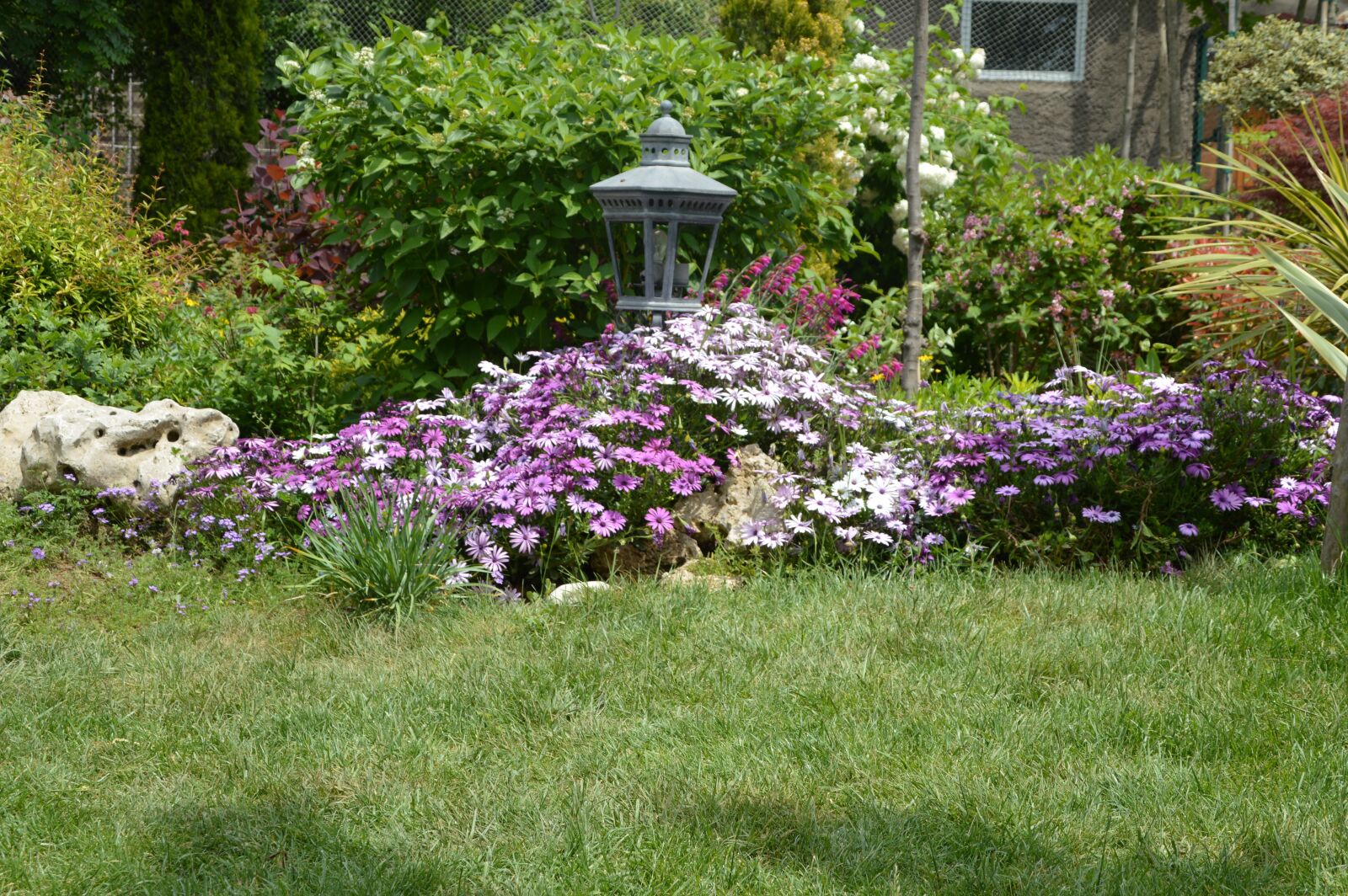 Nikon D3200 sample photo. Spring, garden, flower photography