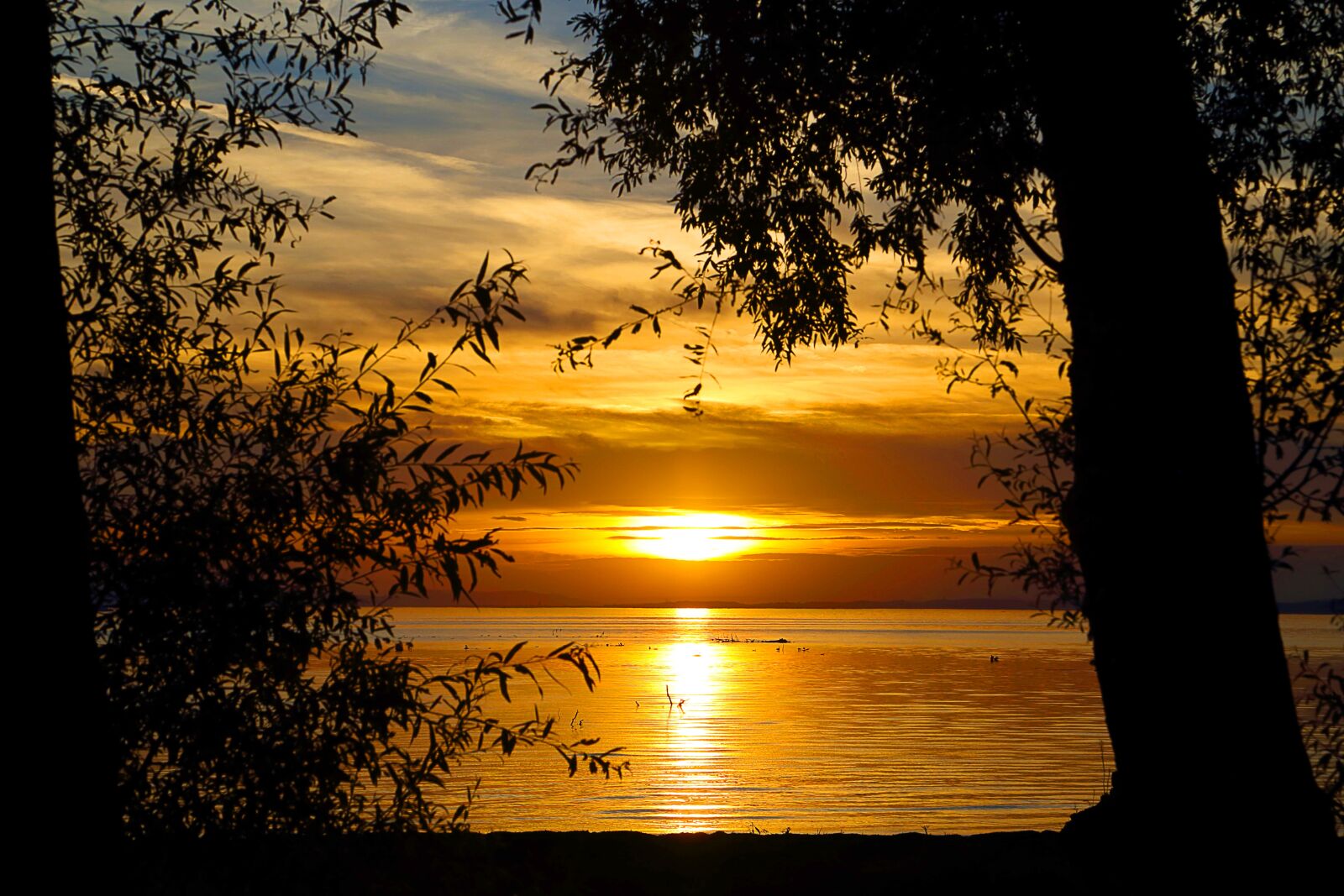 Canon EOS 6D sample photo. Abendstimmung, sunset, lake constance photography