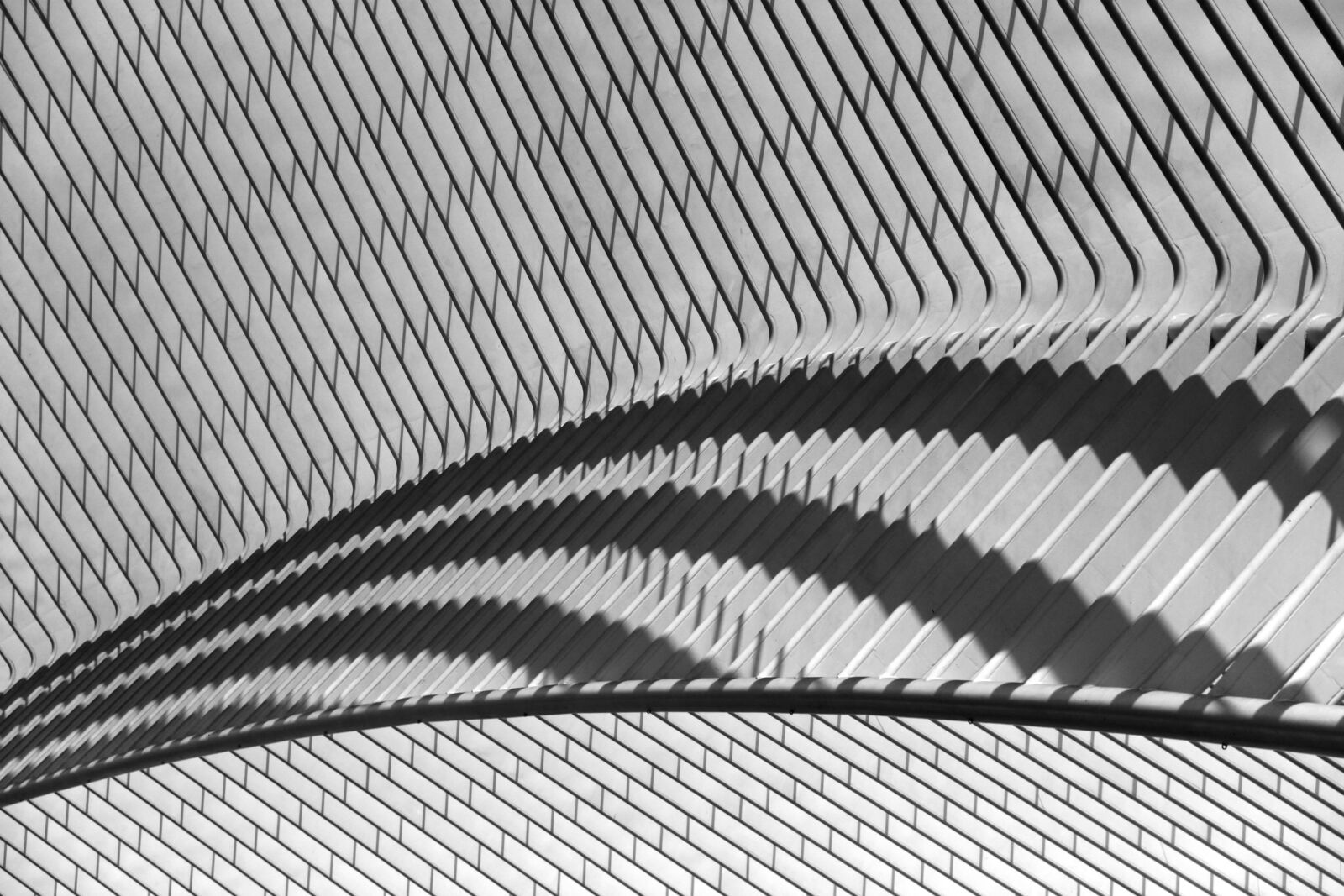 Canon EOS 500D (EOS Rebel T1i / EOS Kiss X3) sample photo. Santiago calatrava, architecture, li photography