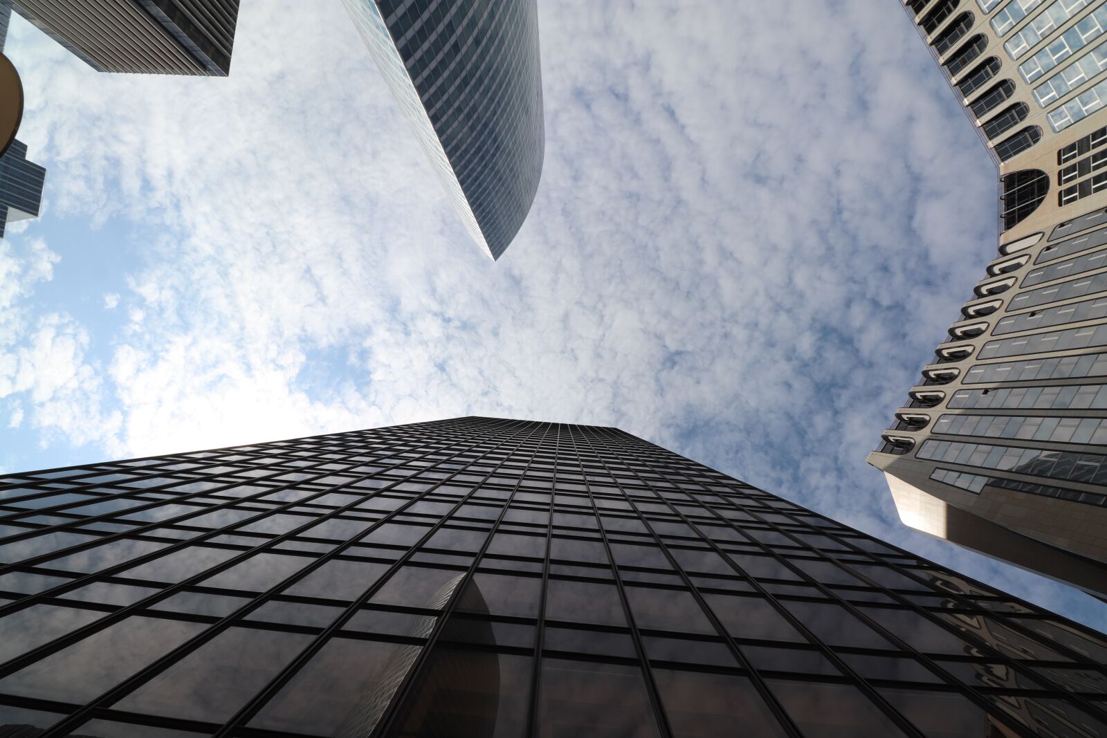 Canon EOS 800D (EOS Rebel T7i / EOS Kiss X9i) sample photo. Skyscraper, office buildings, architecture photography