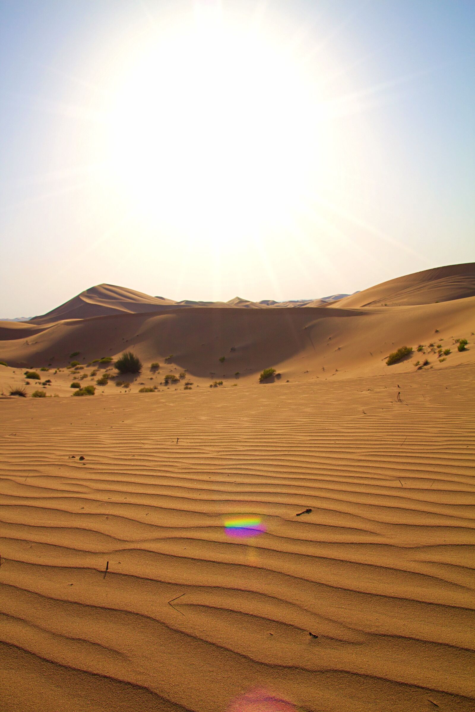 Canon EOS 600D (Rebel EOS T3i / EOS Kiss X5) sample photo. Abu dhabi, emirates, desert photography