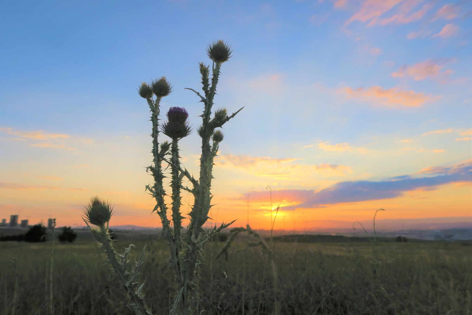 Canon PowerShot G7 X sample photo. Horizon, sunset, clouds photography