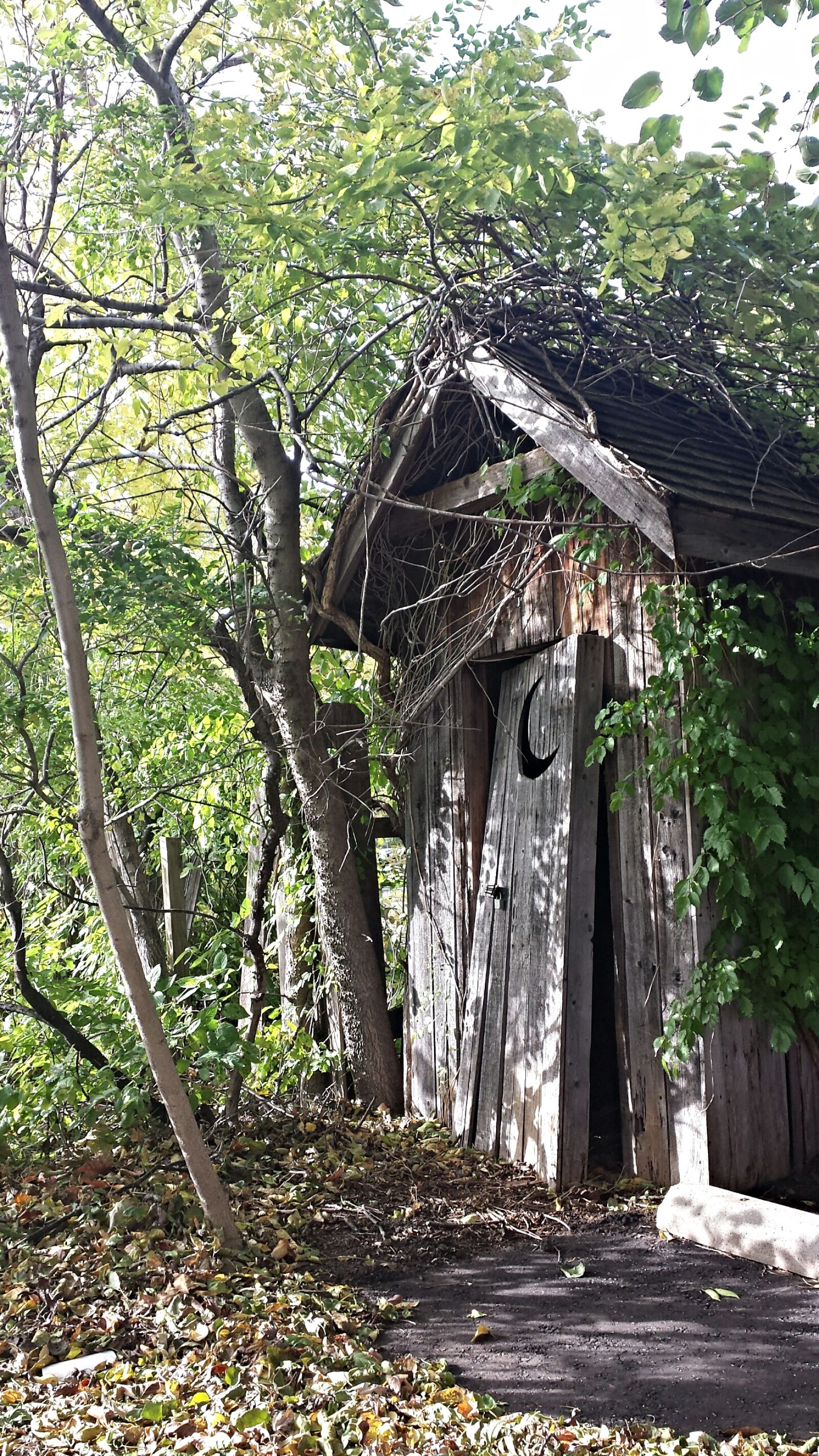 Samsung Galaxy S4 sample photo. Abandoned, mysterious, nature photography