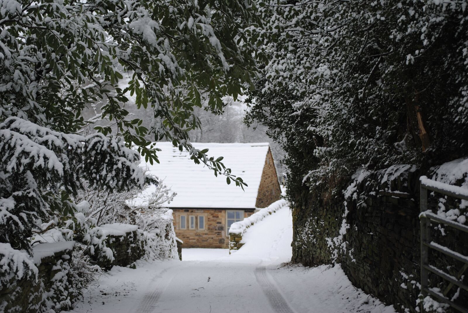 Nikon D3000 sample photo. Snow, winter, landscape photography