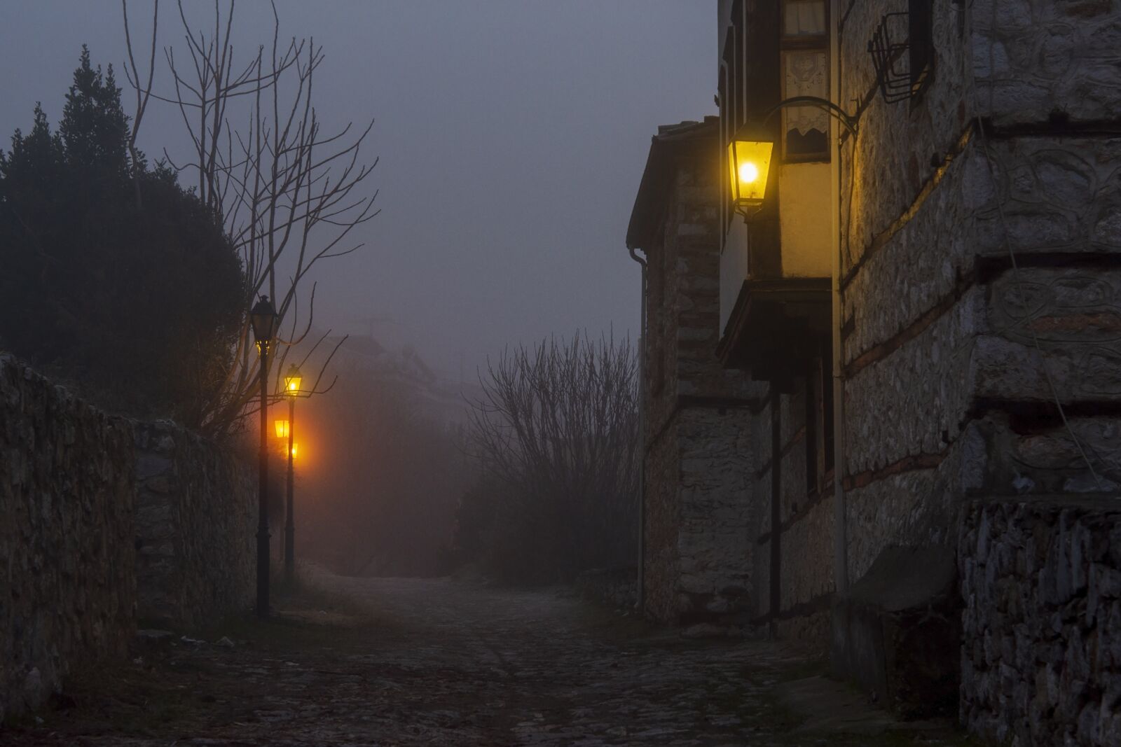 Nikon D7200 sample photo. Fog, mist, magic photography