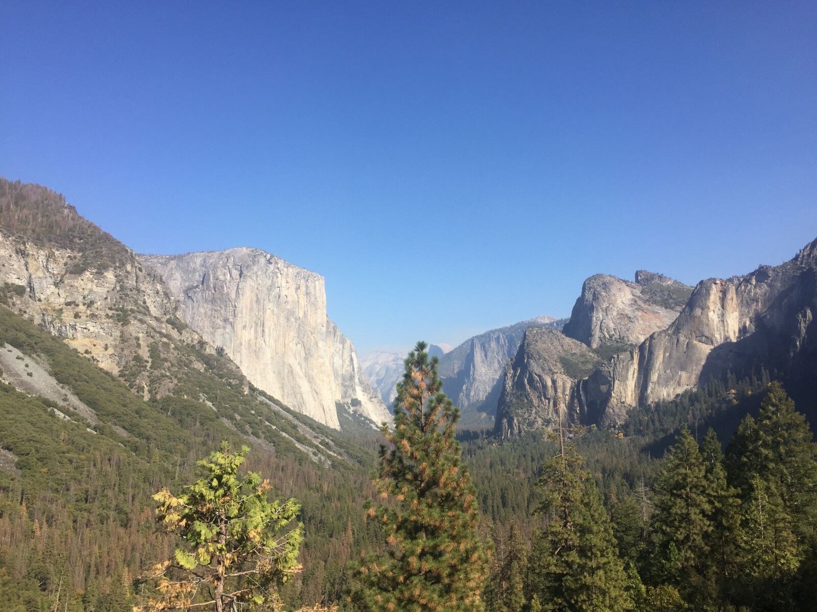 Apple iPhone 6 sample photo. Yosemite, nature, mountains photography