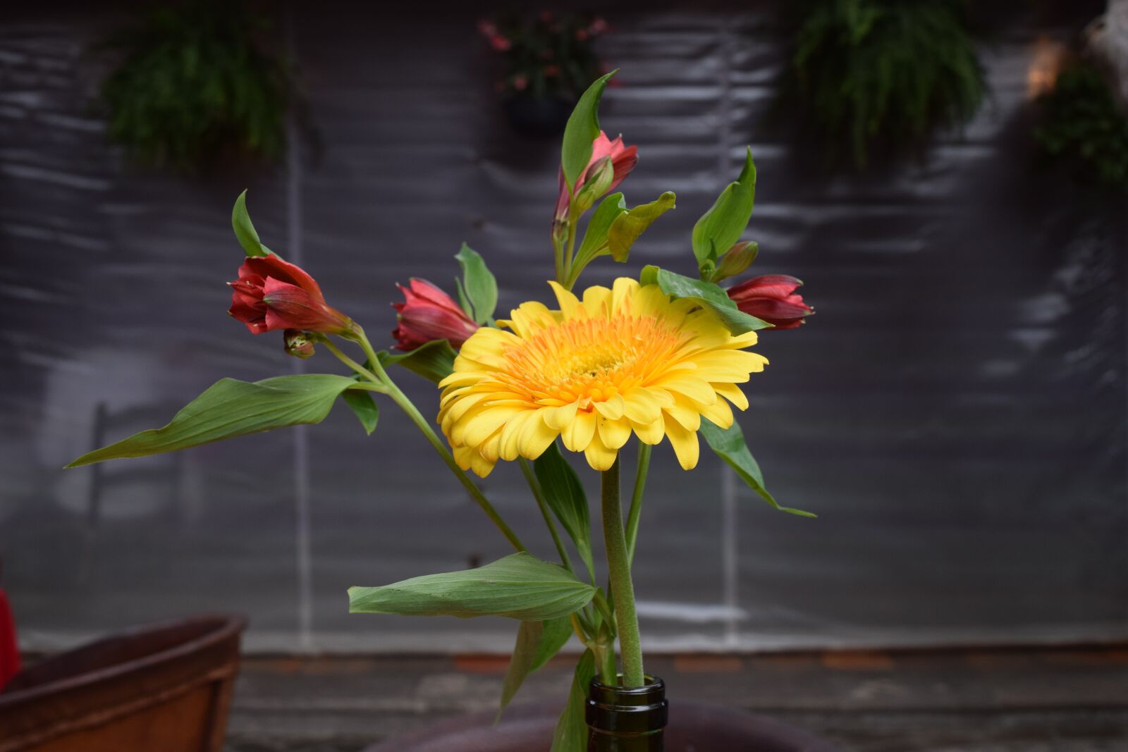 Nikon D5300 sample photo. Flower, floreo, restaurant photography