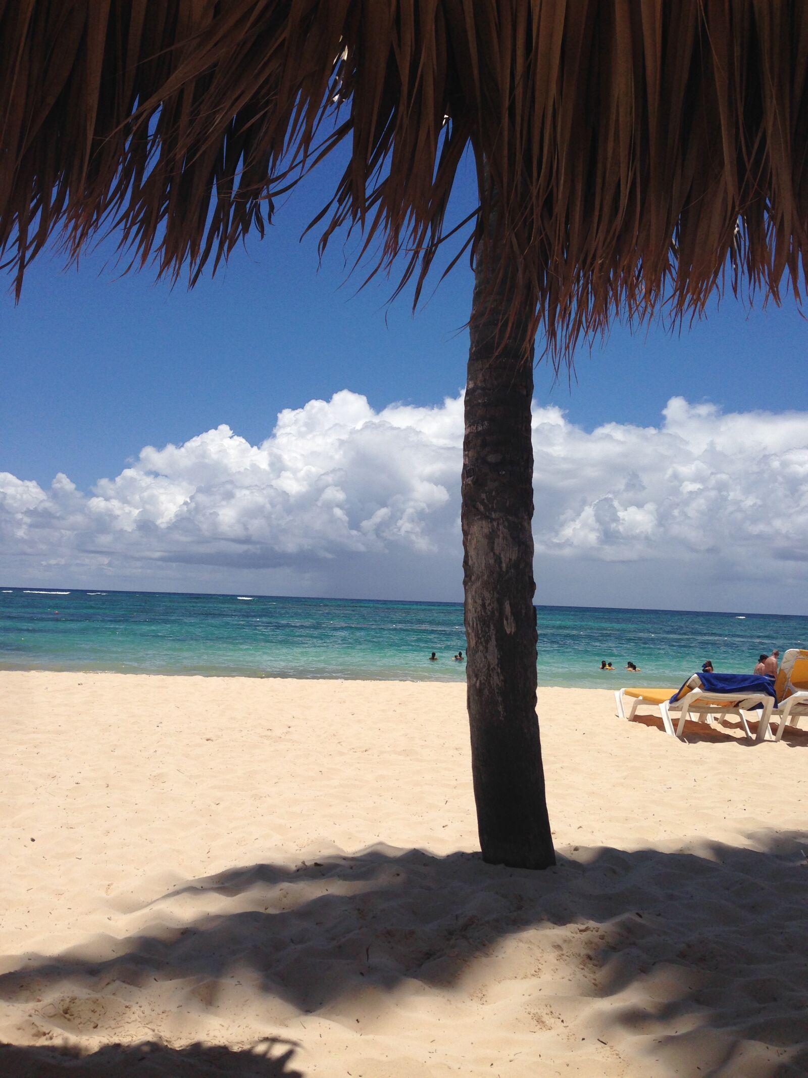 iPhone 5 back camera 4.12mm f/2.4 sample photo. Beach, palm, ocean photography