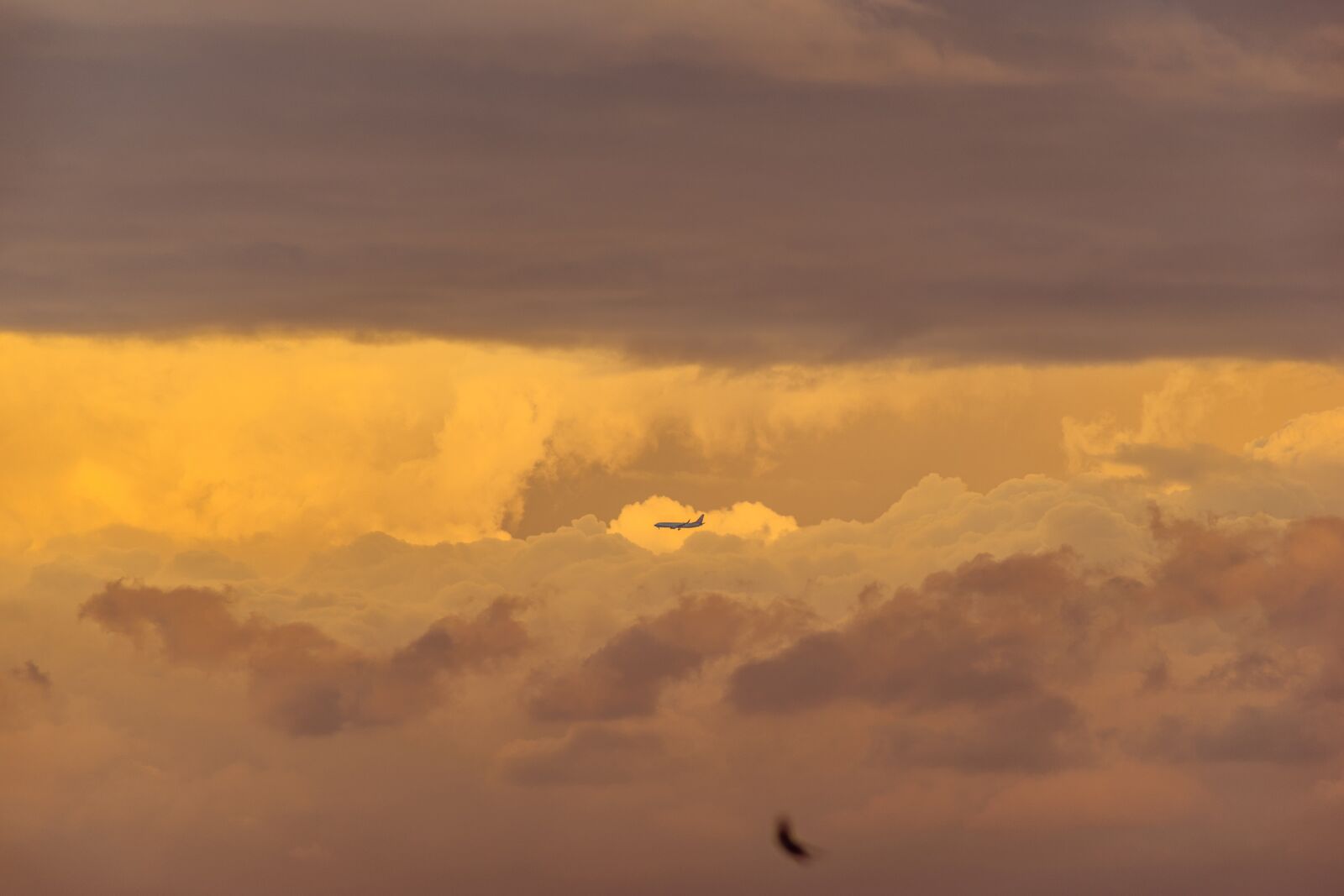 Sony a7 II sample photo. Sunset, summer cloud, plane photography