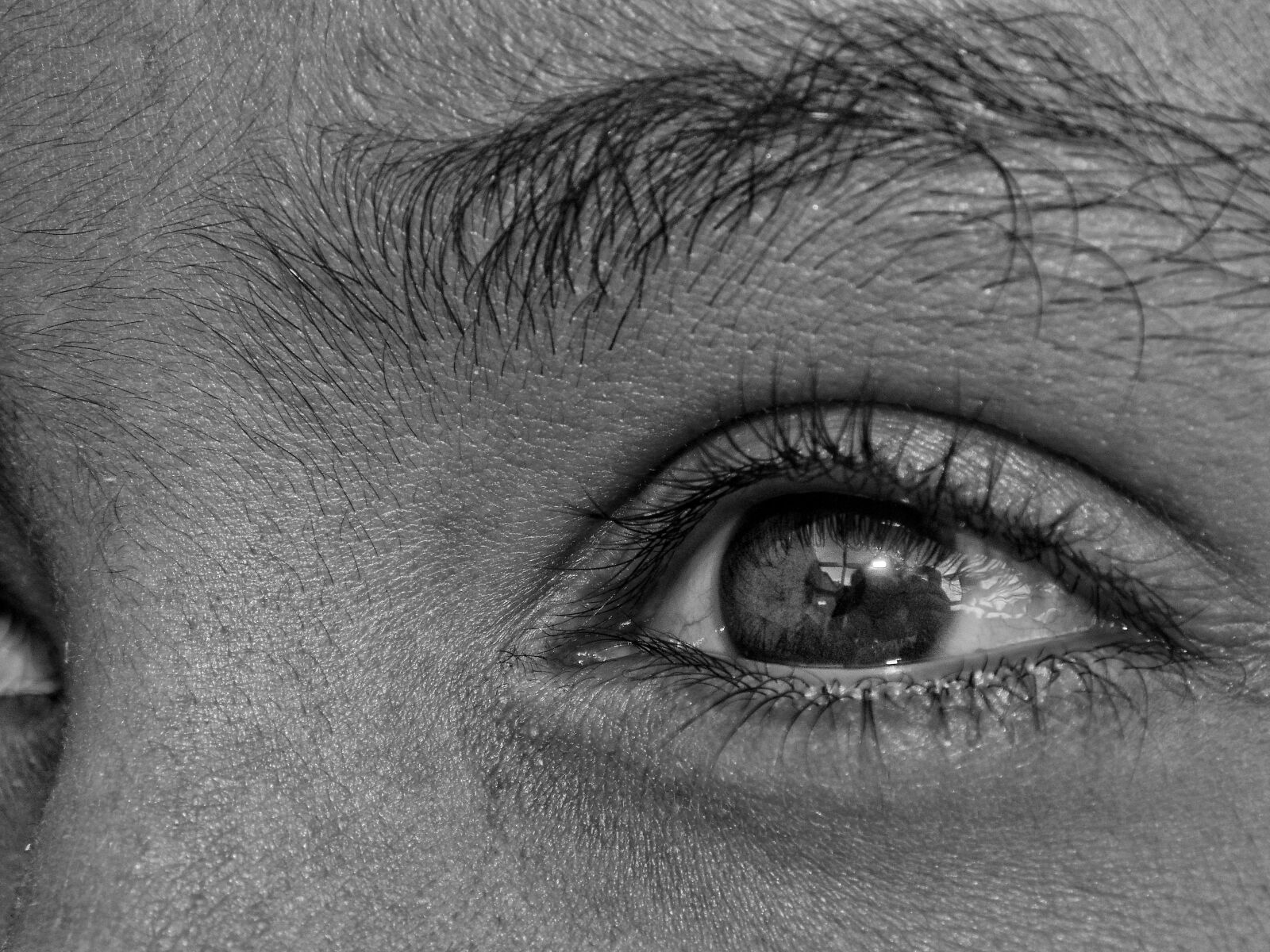 Sony Cyber-shot DSC-H200 sample photo. Eyes, pretoebranco, camera photography