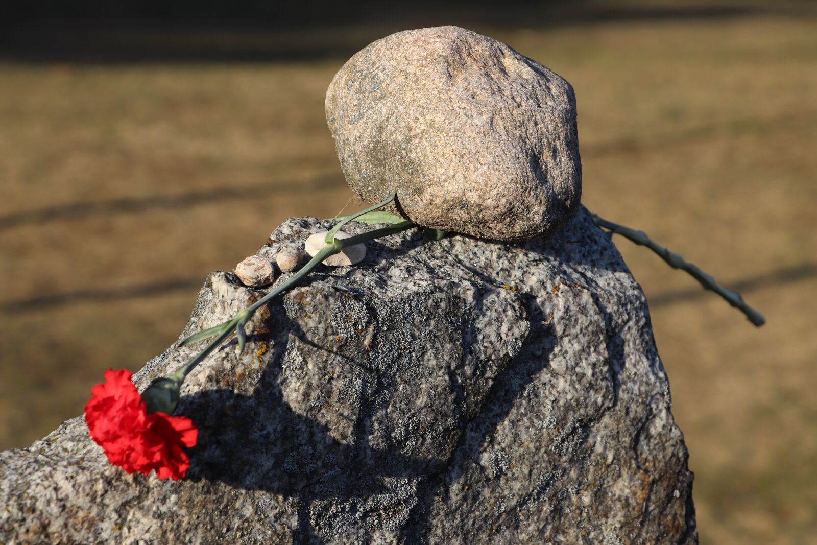 Canon EOS 77D (EOS 9000D / EOS 770D) sample photo. Treblinka, poland, europe photography