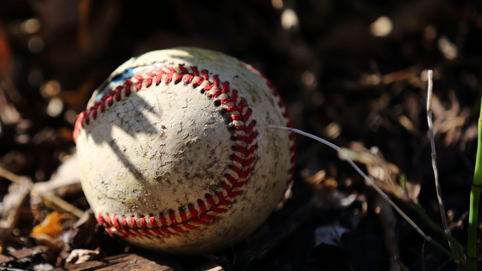 Canon EOS 5D Mark III sample photo. Baseball, weathered photography
