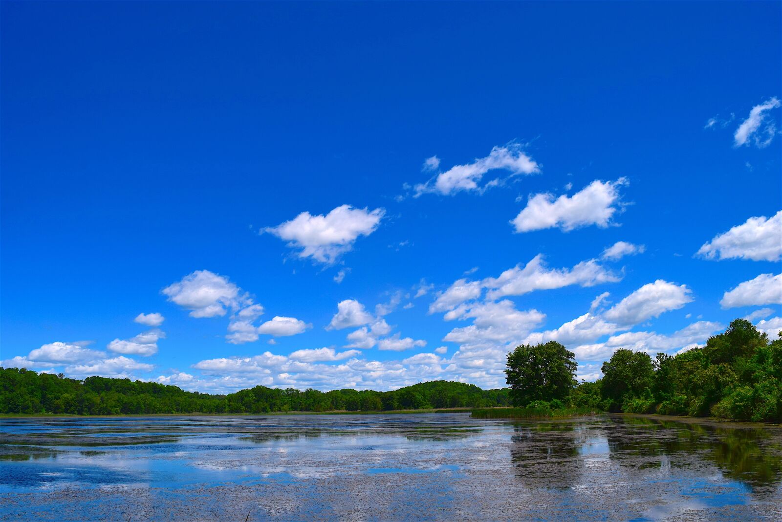 Nikon D3300 sample photo. Lake, clouds, sky photography