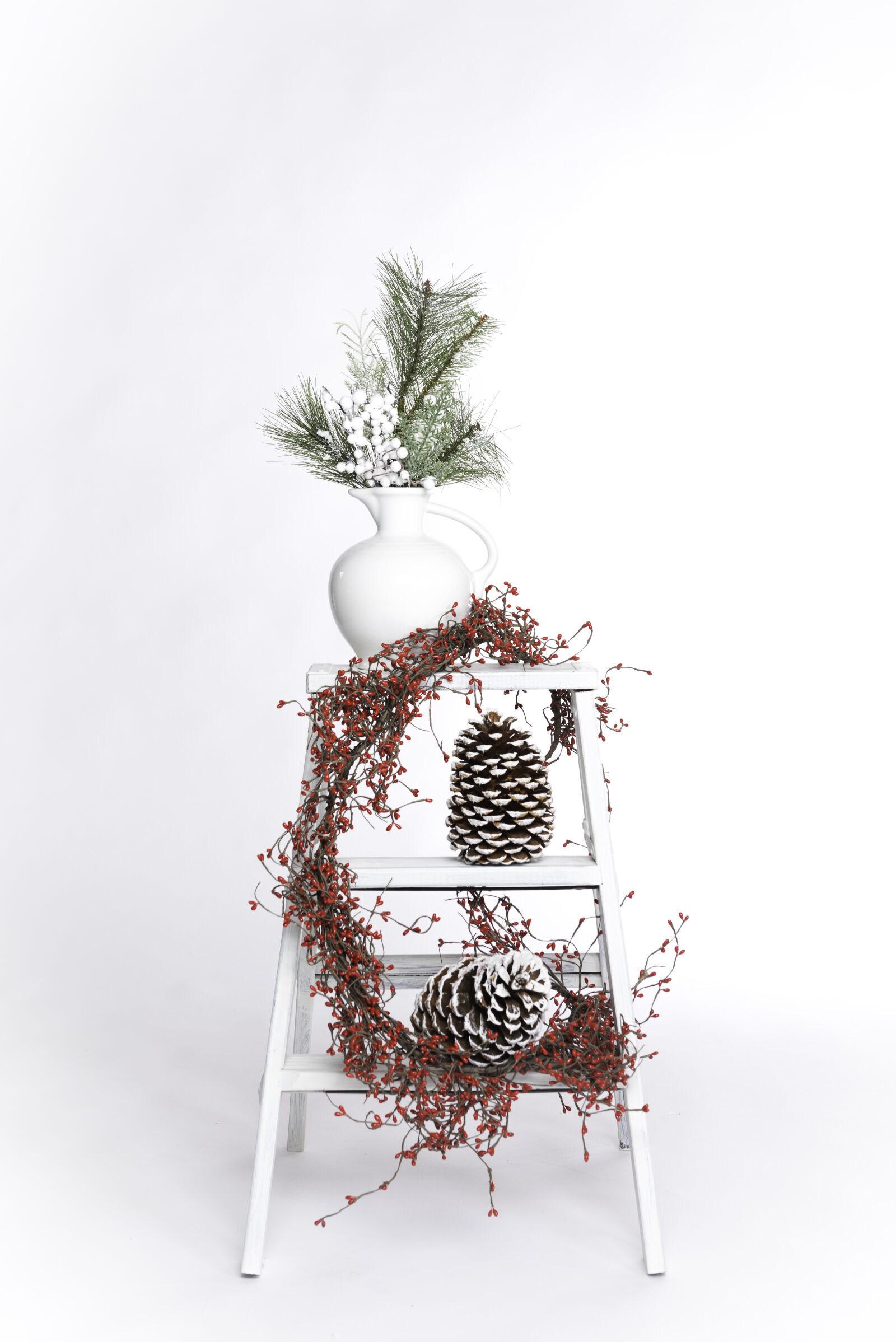 Nikon D810 sample photo. Winter still life, christmas photography