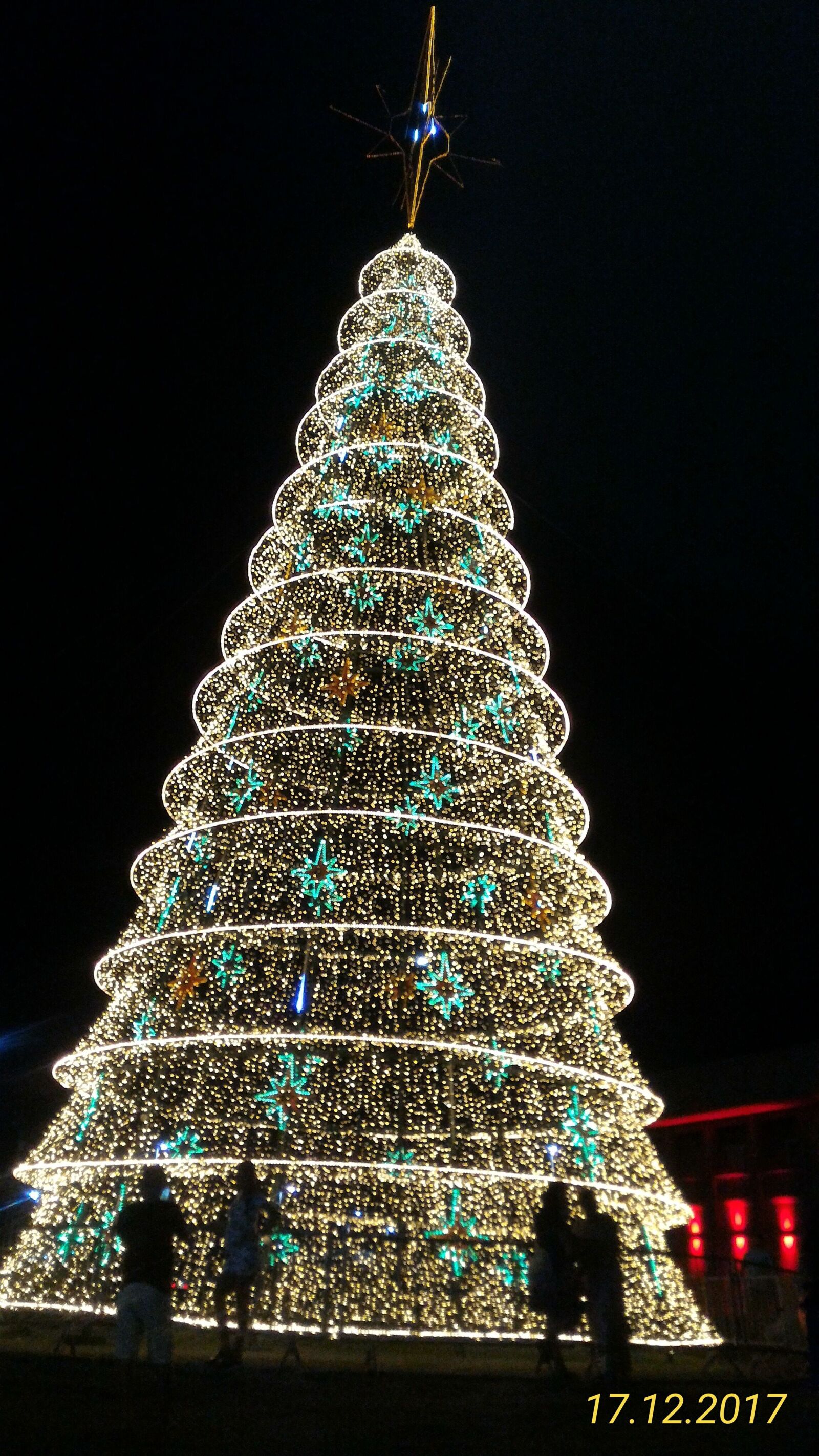 ASUS Z00AD sample photo. Christmas, christmas tree, december photography