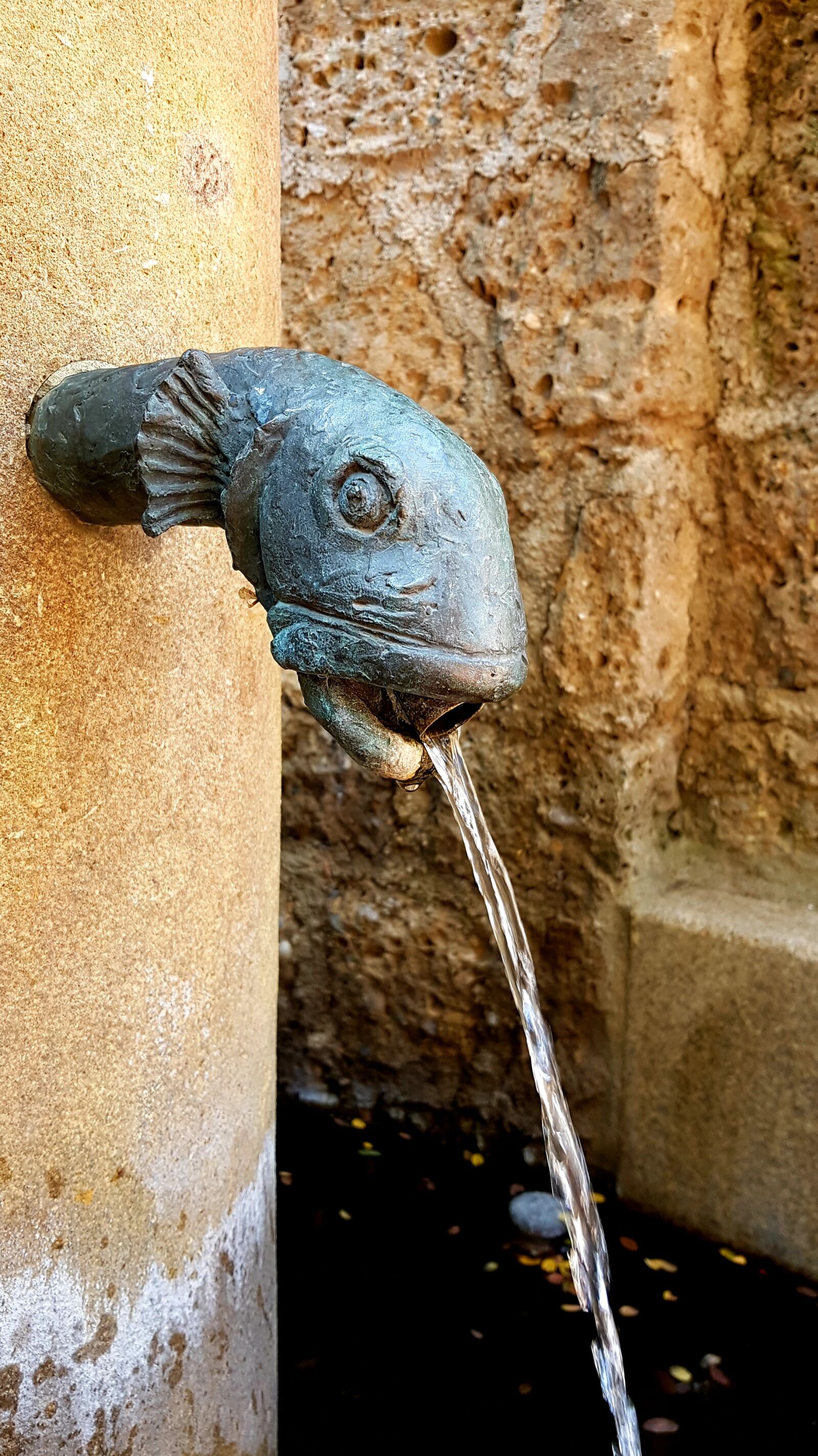 Samsung Galaxy S7 Edge sample photo. Fountain, fish head, brass photography