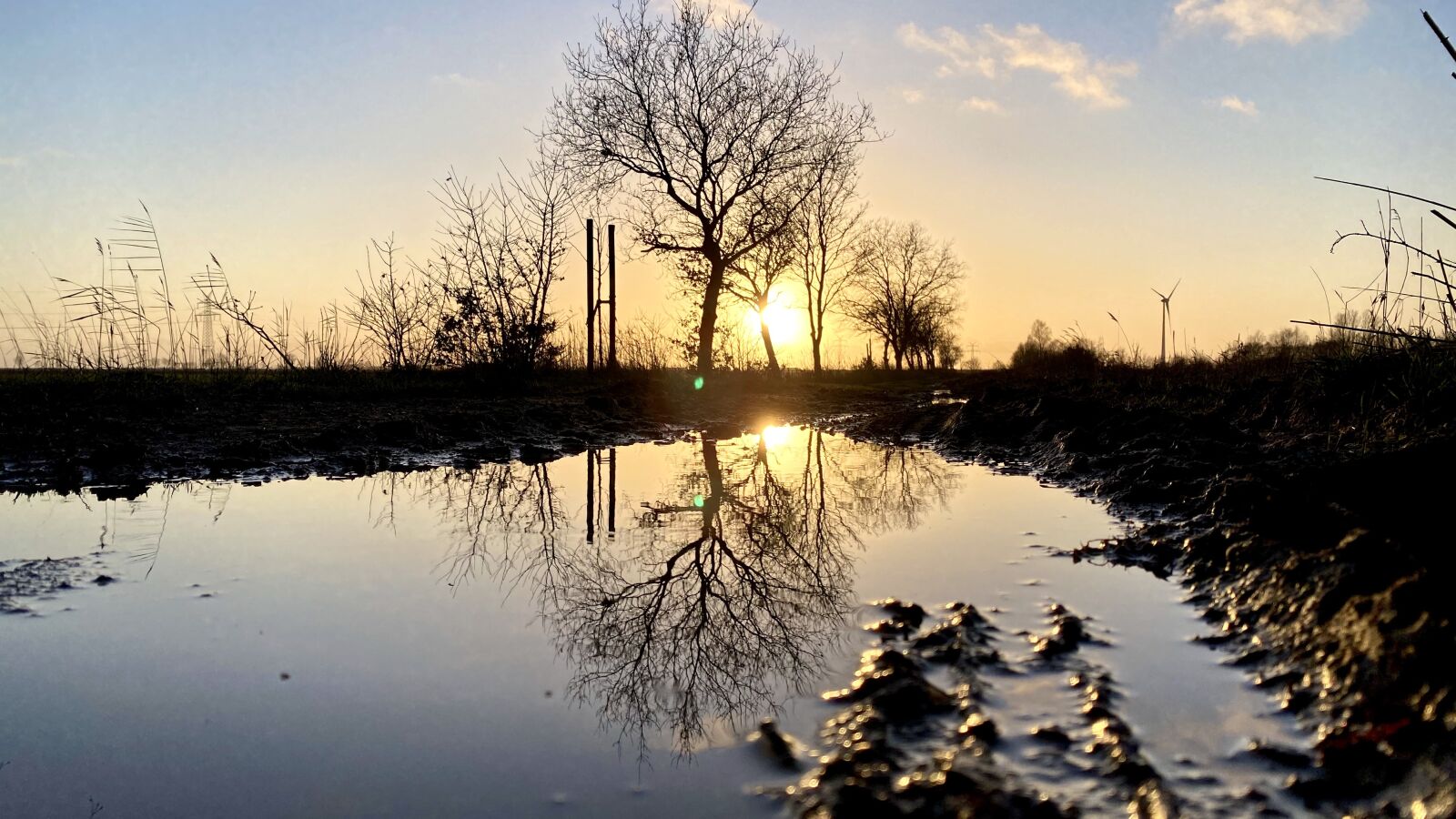 Apple iPhone 11 Pro sample photo. Mirroring, sun, nature photography