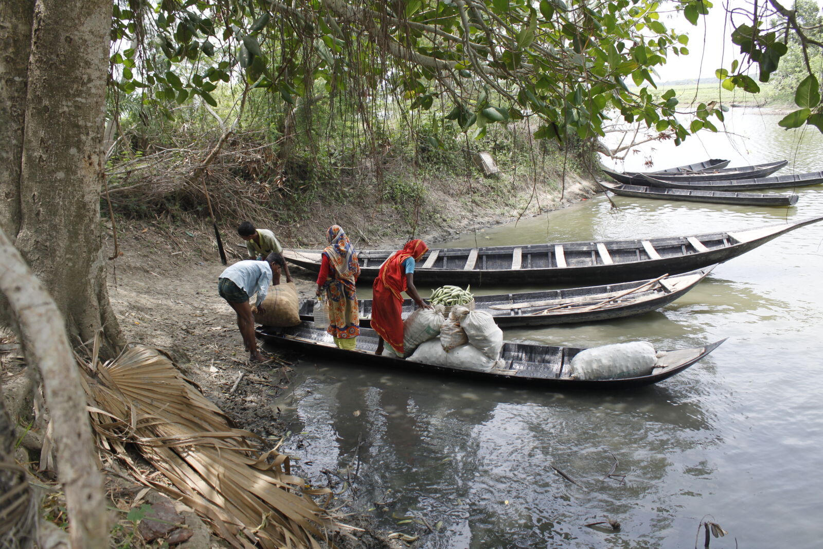 Canon EOS 500D (EOS Rebel T1i / EOS Kiss X3) sample photo. Bangladesh, boat, canal, fisherman photography