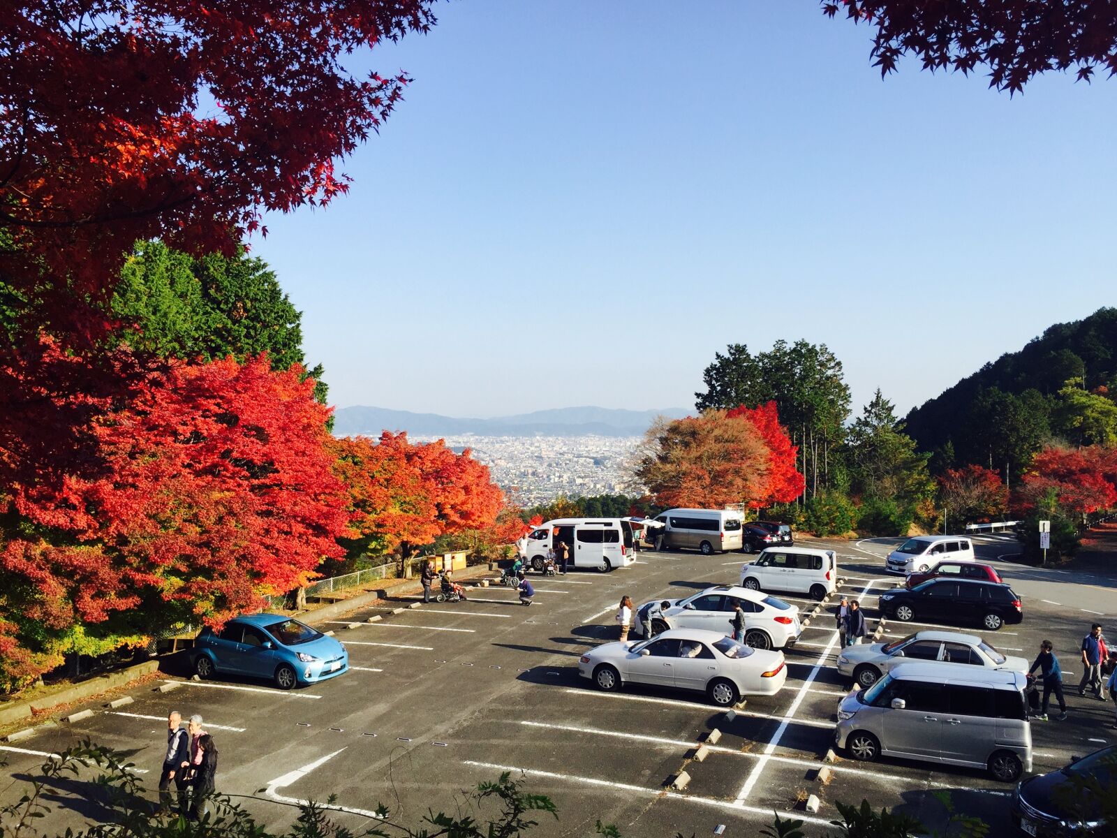 Apple iPhone 6 sample photo. Autumnal leaves, arashiyama, japan photography