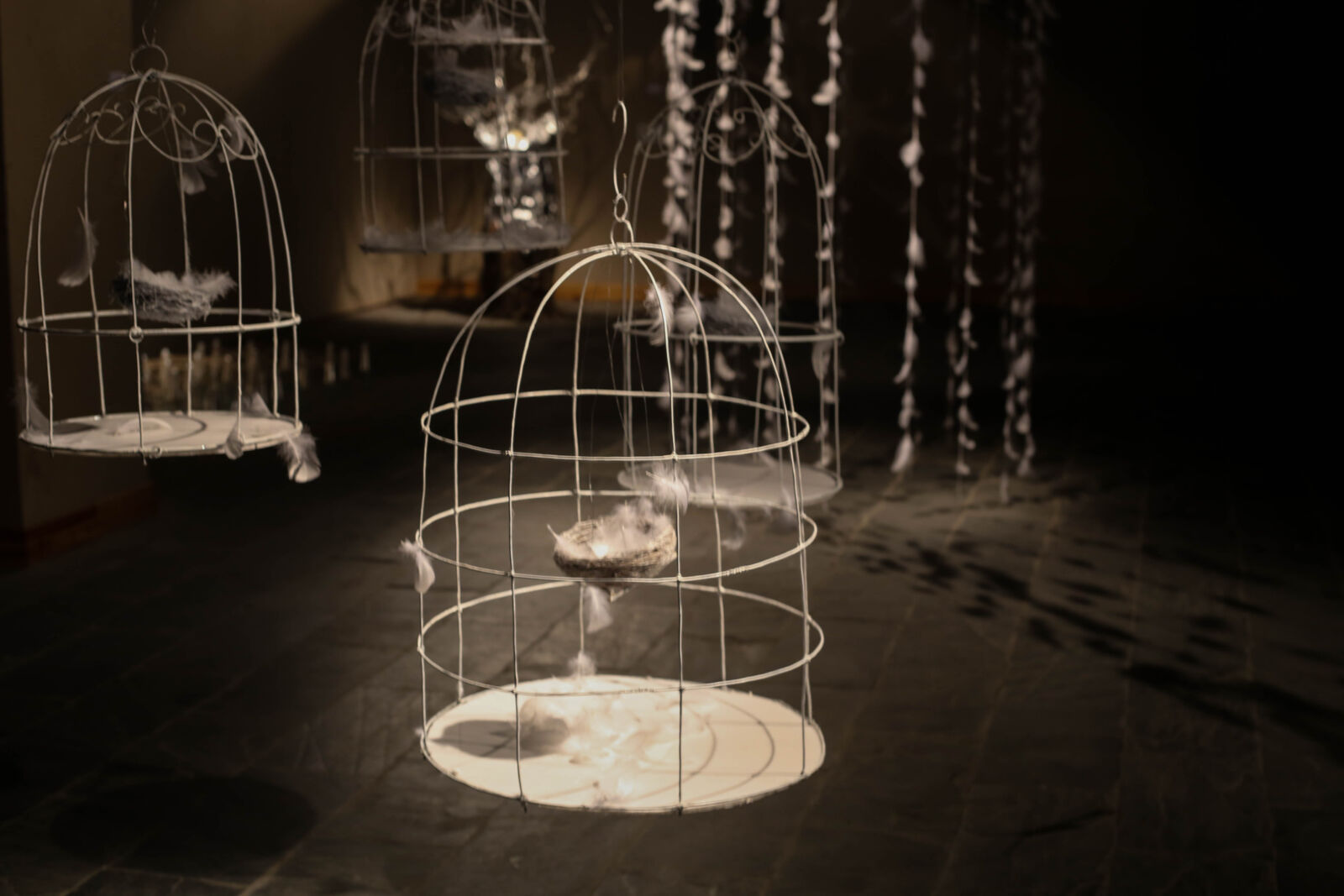Canon EOS 6D + Canon EF 50mm F1.8 STM sample photo. Birdcage, feathers photography