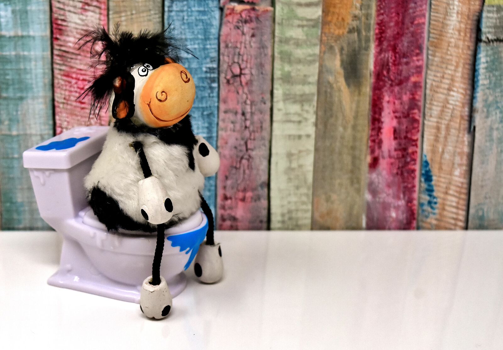 Nikon D7200 sample photo. Toilet, cow, figure photography