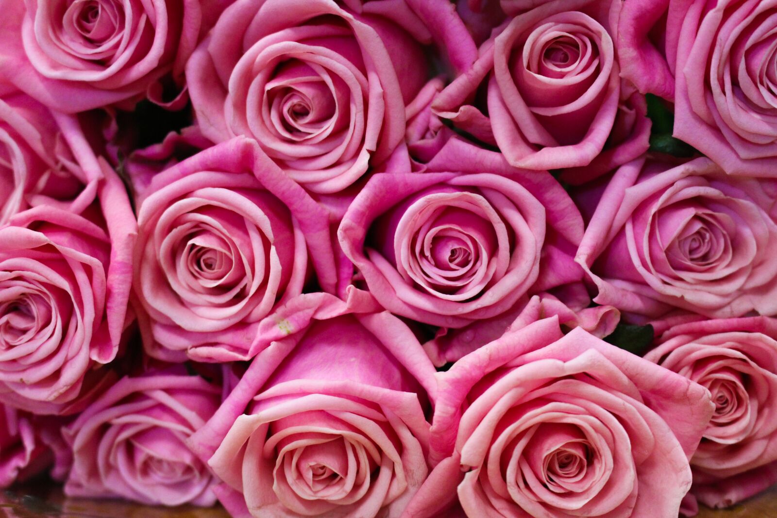Canon EOS 700D (EOS Rebel T5i / EOS Kiss X7i) sample photo. Rose, bouquet, wedding photography