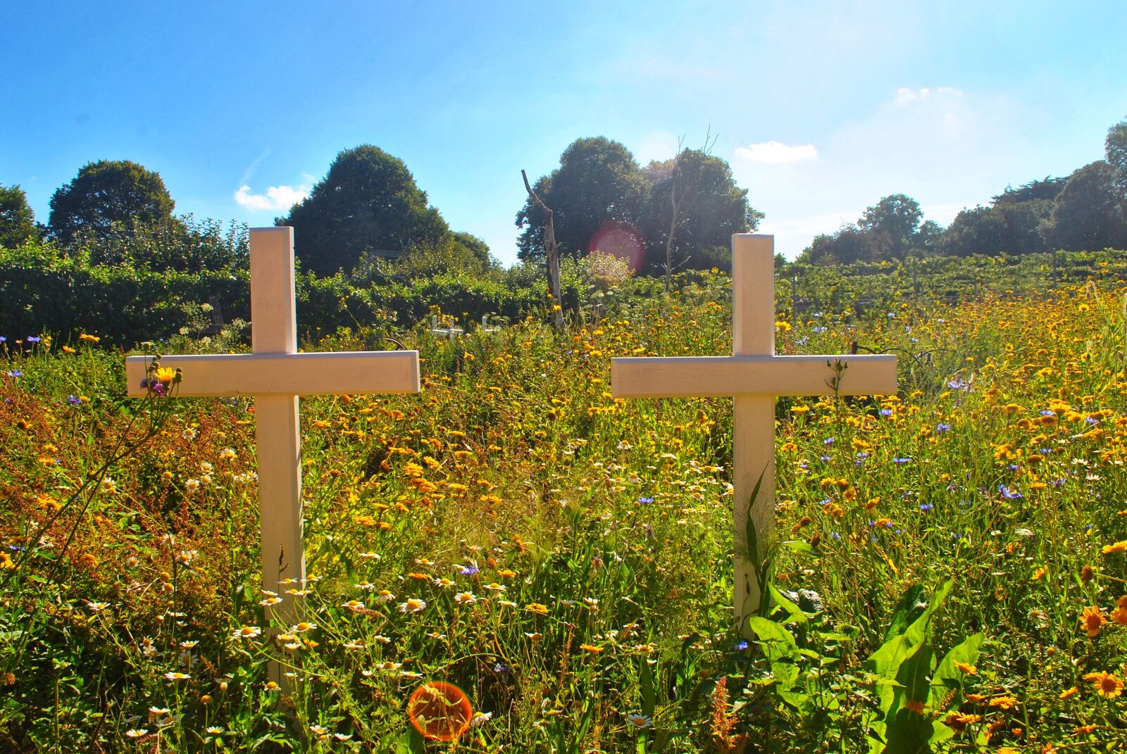 Nikon D3000 sample photo. Sky, blue, cross photography