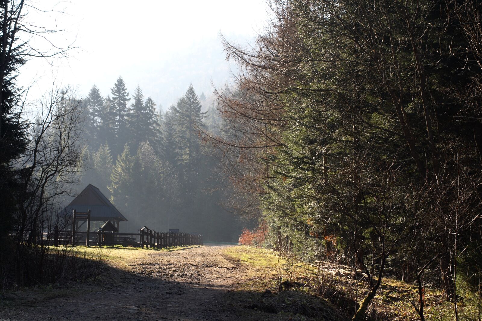 Canon EOS 400D (EOS Digital Rebel XTi / EOS Kiss Digital X) sample photo. Poland, nature, mountains photography
