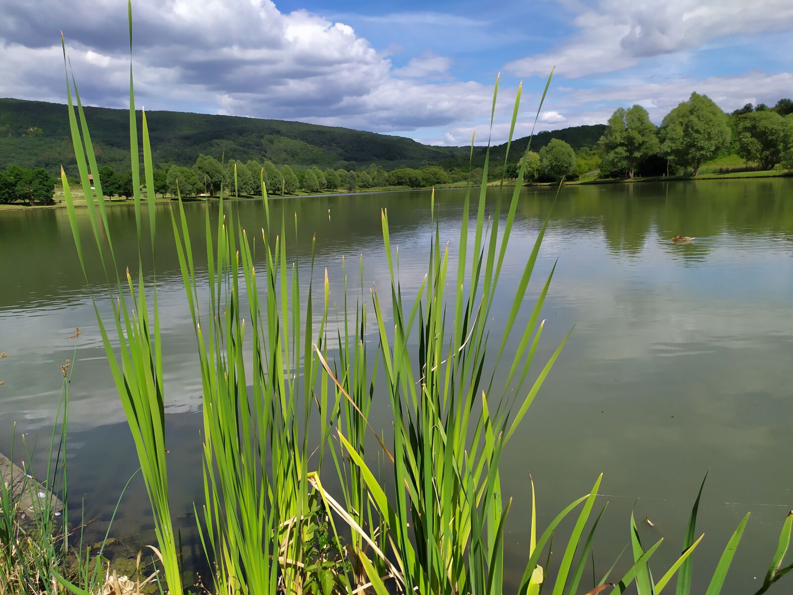 Xiaomi Redmi Note 7 sample photo. Als pet ny, lake photography