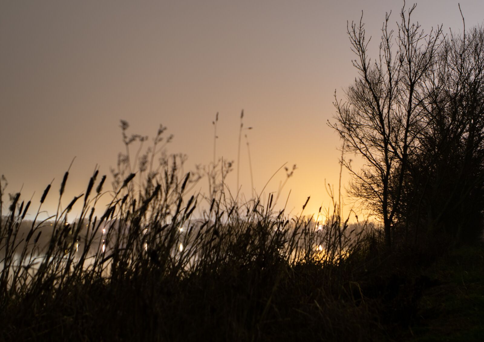 Canon EOS 7D Mark II + Canon EF 24-70mm F2.8L USM sample photo. Mist, sunrise, riverbank photography