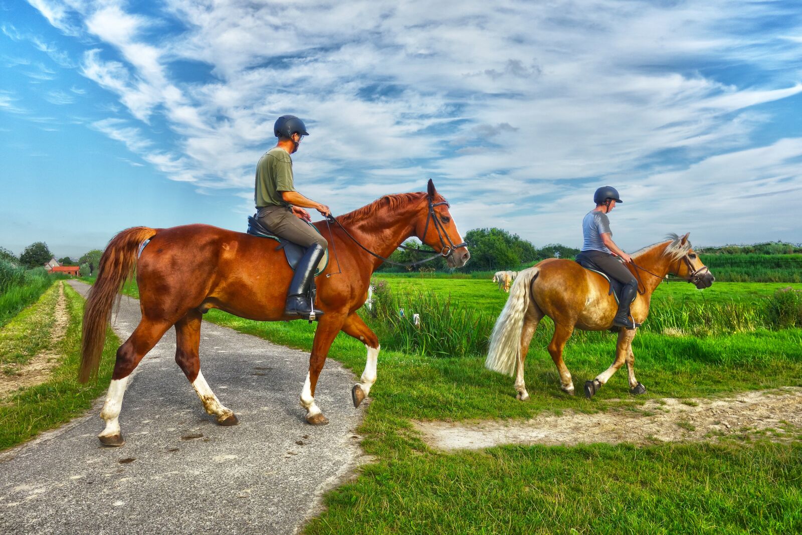 Sony Cyber-shot DSC-RX100 sample photo. Animal, mammal, horse photography