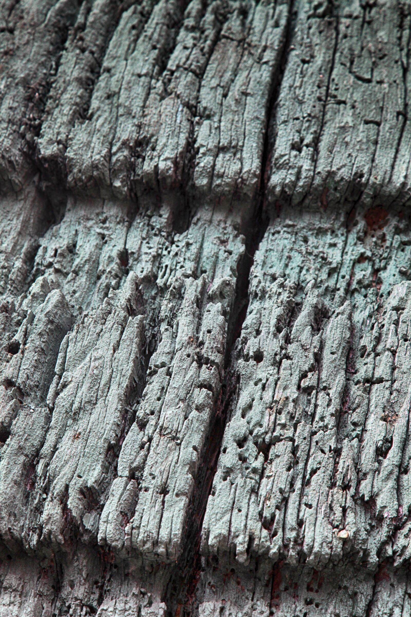 Canon EOS 5D Mark II sample photo. Oak, bar, old photography