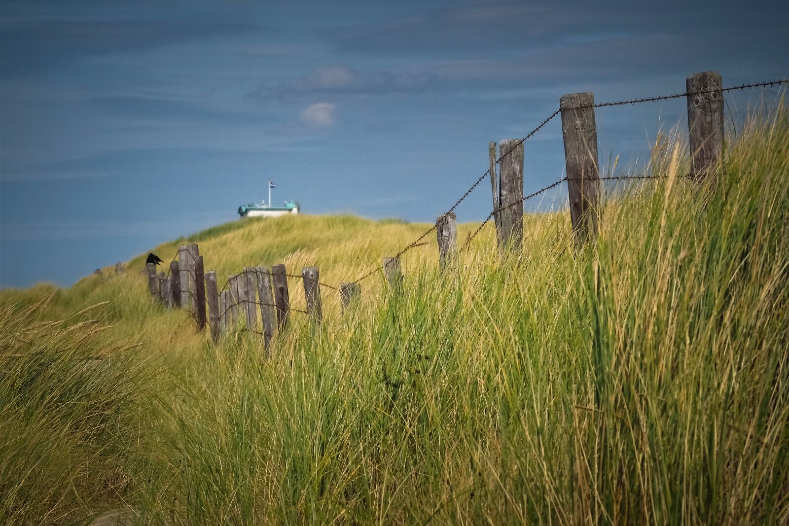 Olympus OM-D E-M10 sample photo. Dunes, beach, nature photography