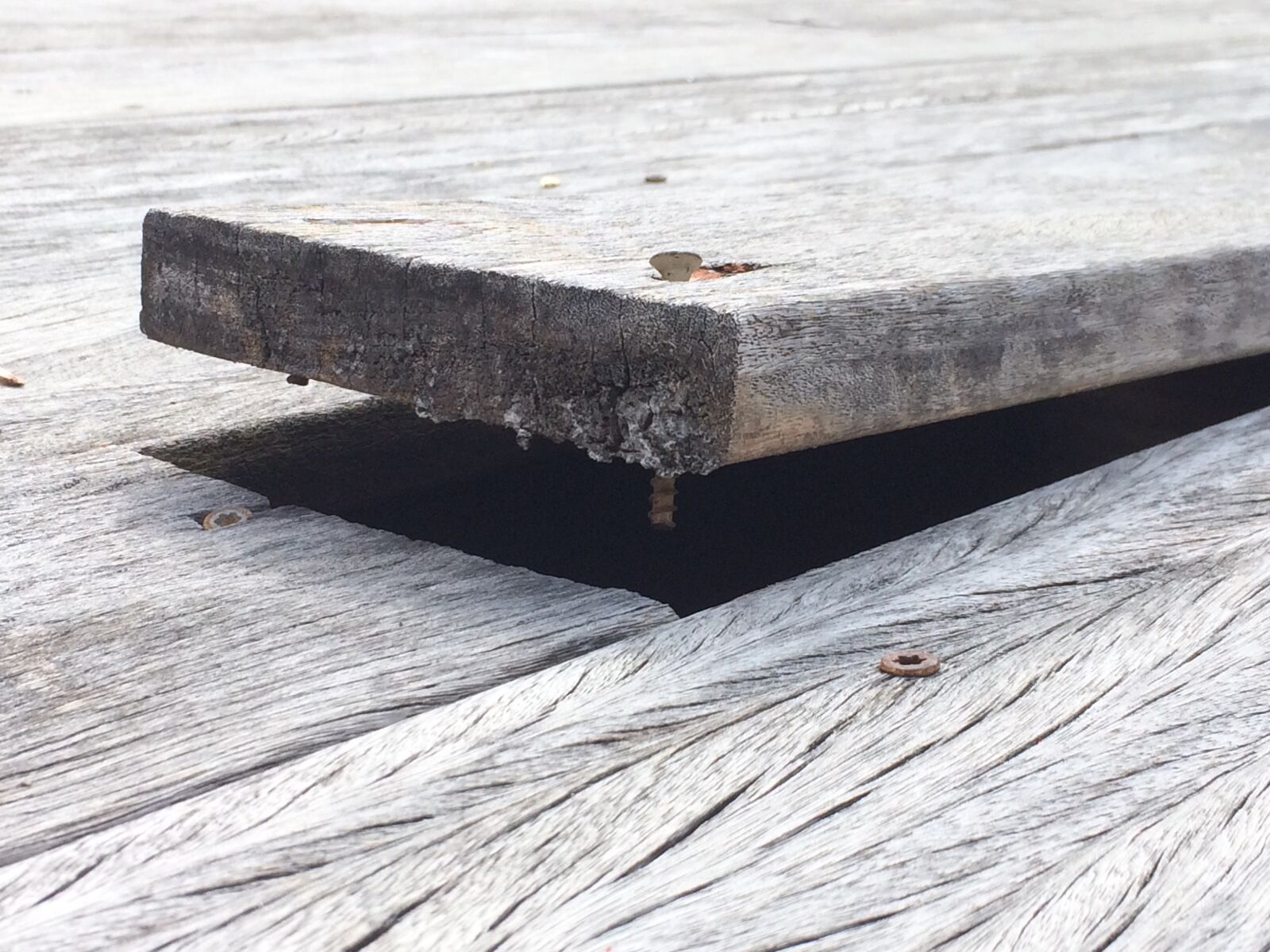 iPhone 5s back camera 4.15mm f/2.2 sample photo. Wood, deck, plank photography