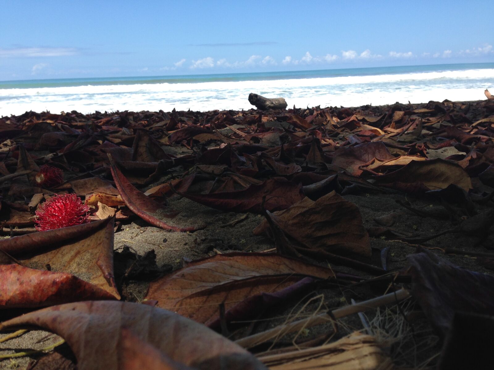 iPhone 5 back camera 4.12mm f/2.4 sample photo. Beach, costa, rica, ocean photography