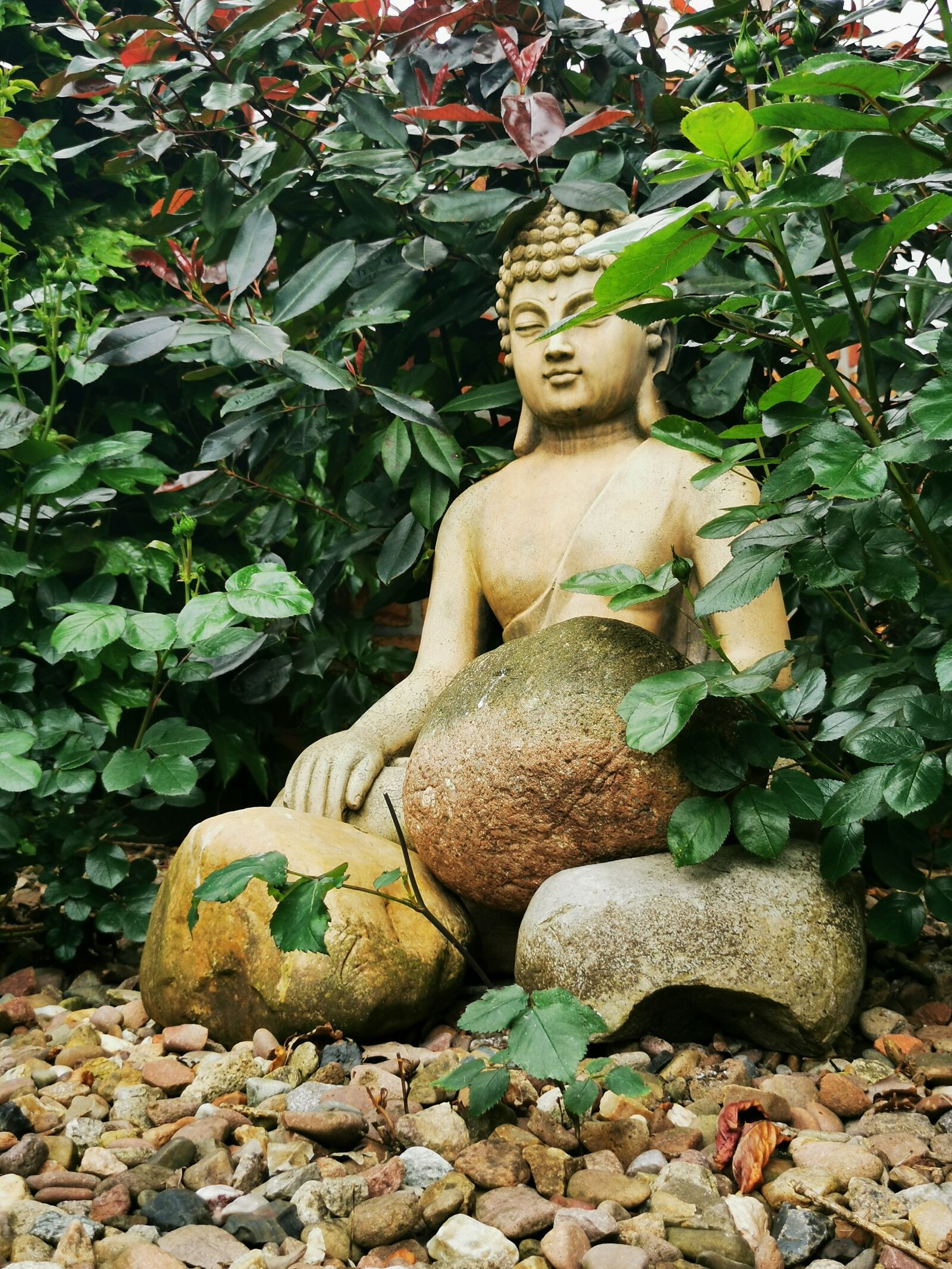 HUAWEI P30 sample photo. Buddha, statue, plants photography