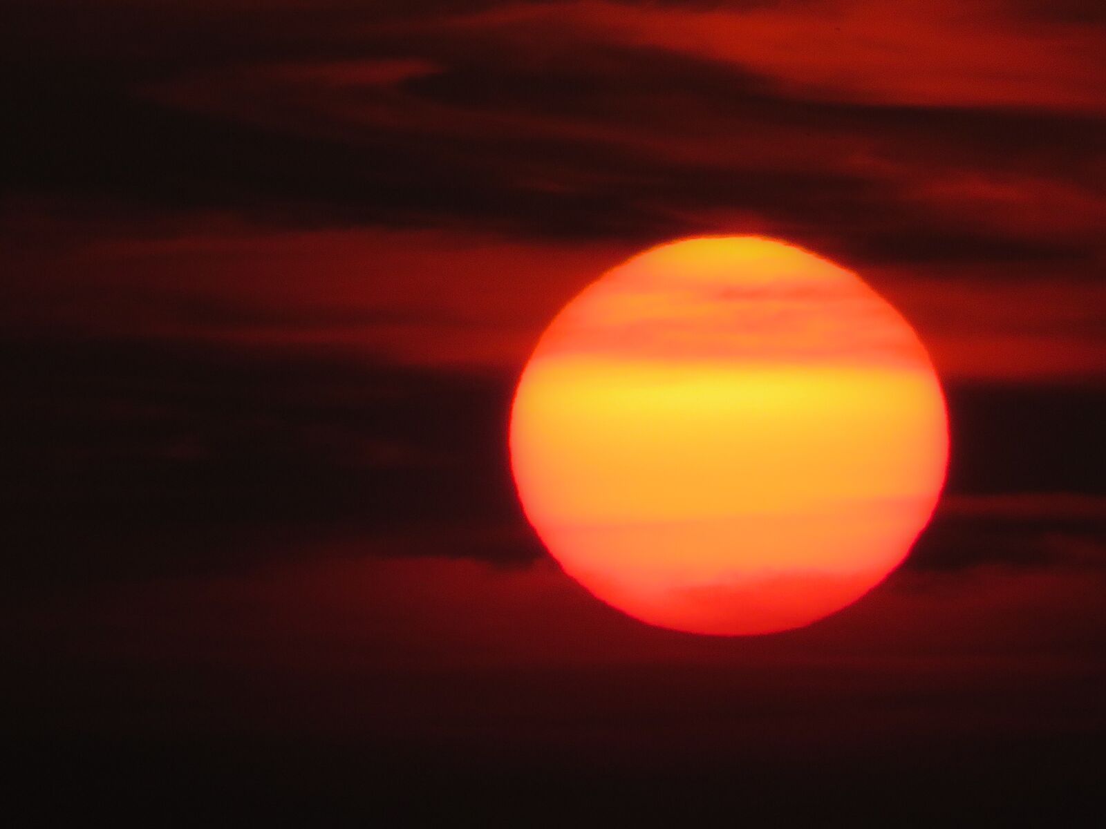 Canon PowerShot SX710 HS sample photo. Nature, landscape, sun photography