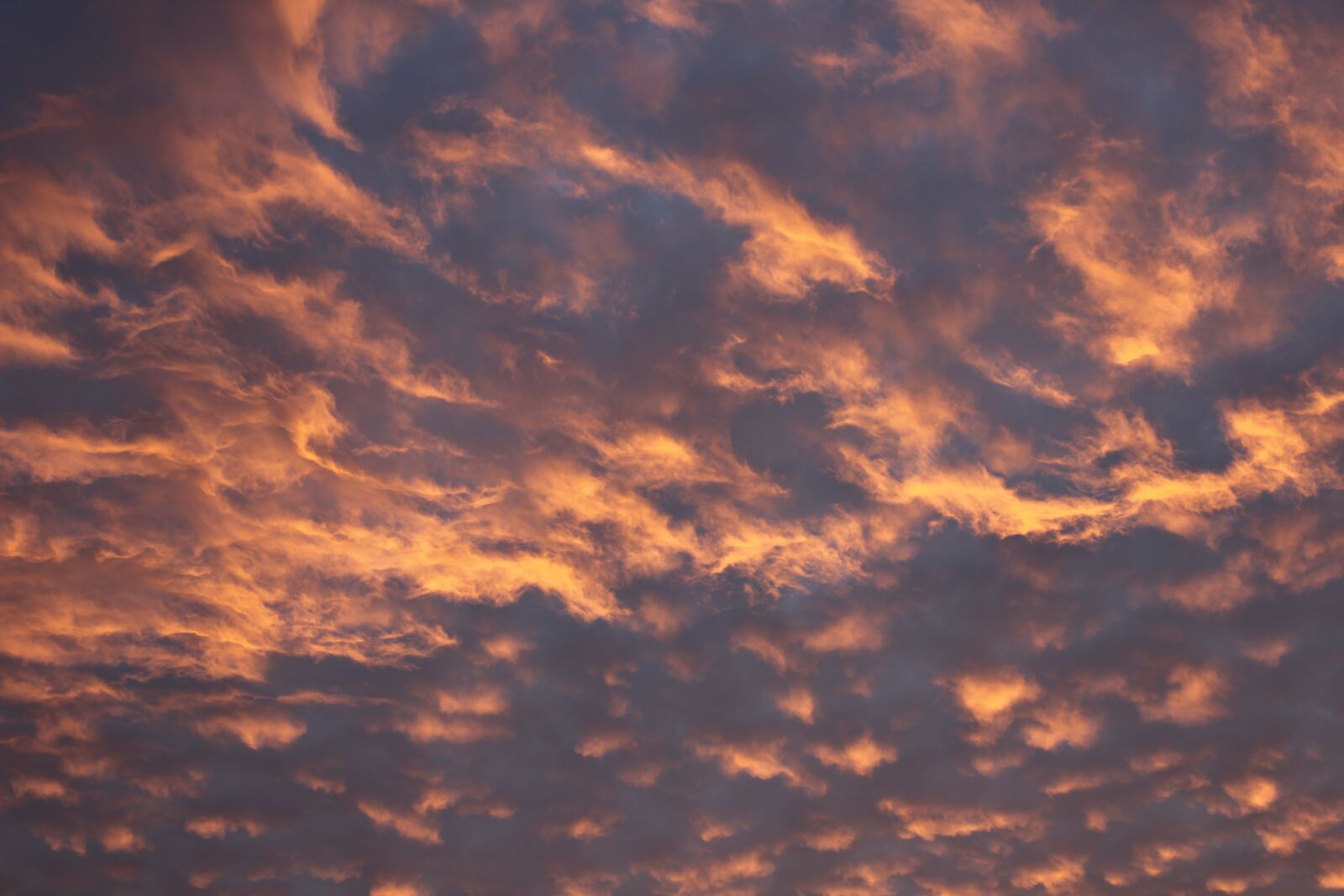 Canon EOS 1200D (EOS Rebel T5 / EOS Kiss X70 / EOS Hi) sample photo. Sunset, pink, yellow photography
