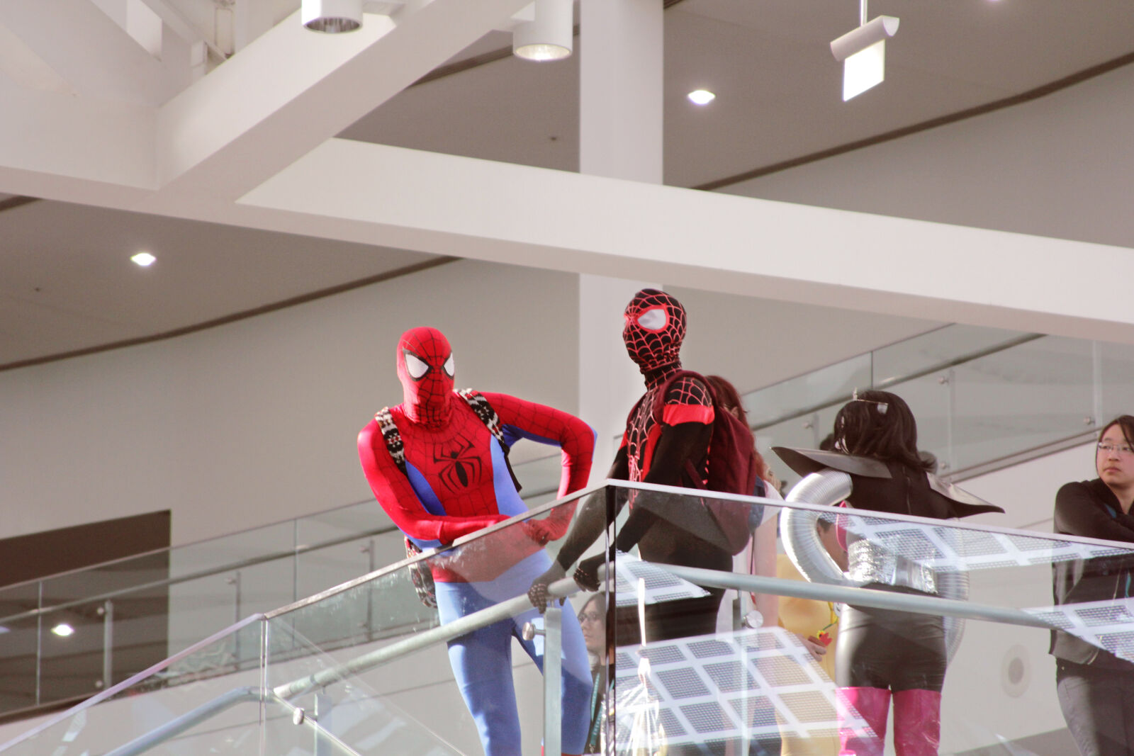 Canon EOS 550D (EOS Rebel T2i / EOS Kiss X4) sample photo. Cosplay, spiderman, wondercon photography