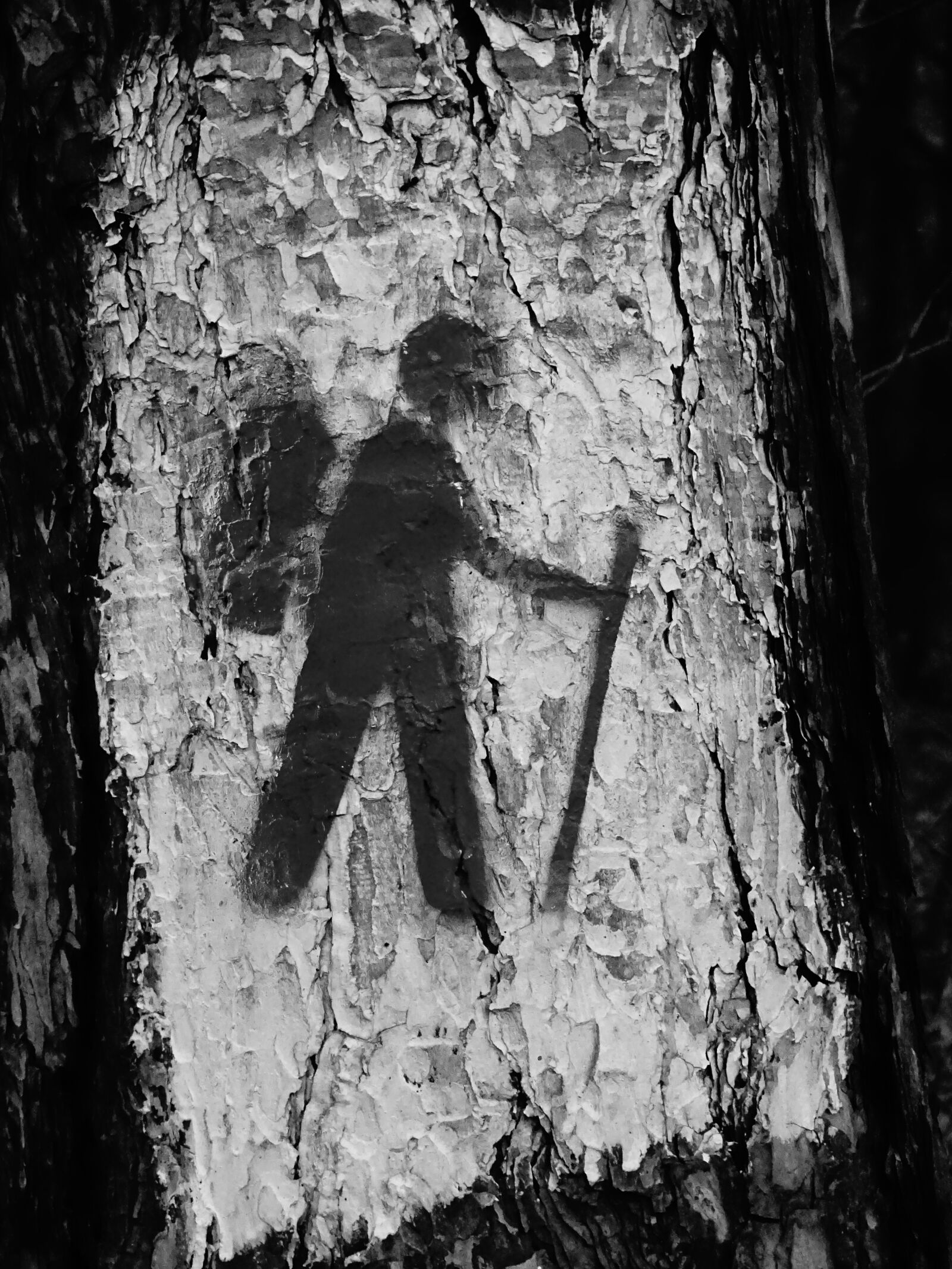 Sony Cyber-shot DSC-HX400V sample photo. Forest, warning, on foot photography