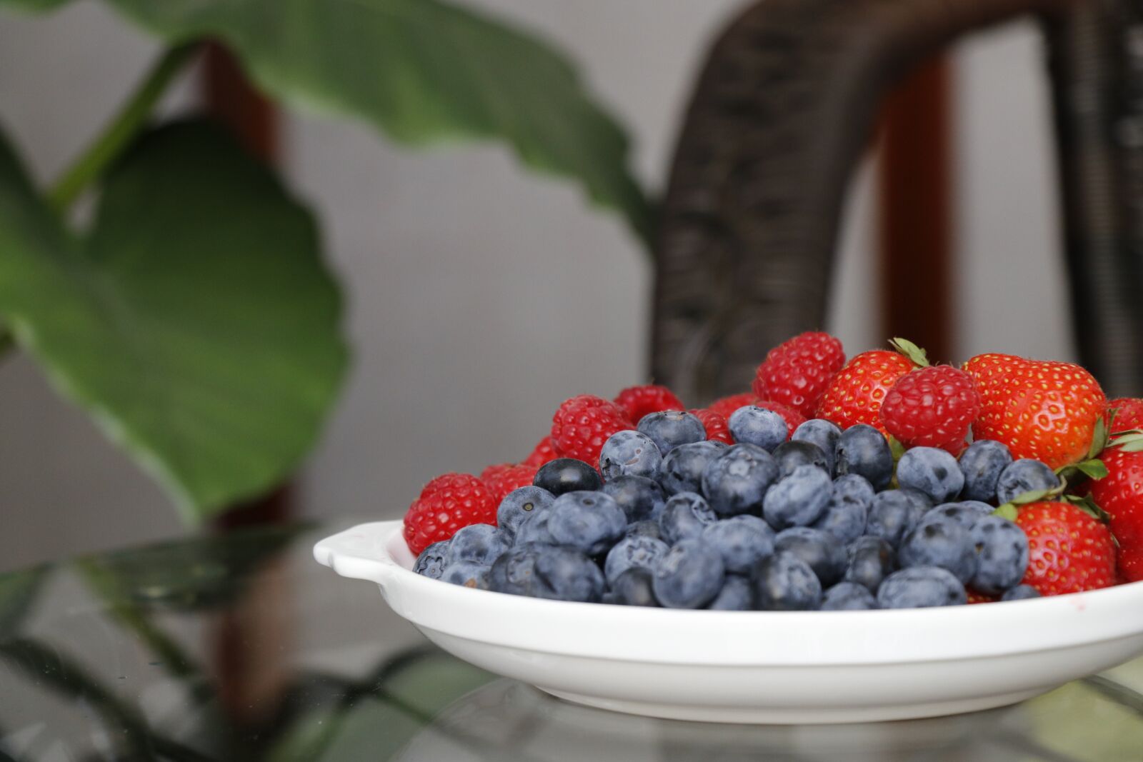 Canon EF-S 18-135mm F3.5-5.6 IS USM sample photo. Blueberry, berry, fresh photography