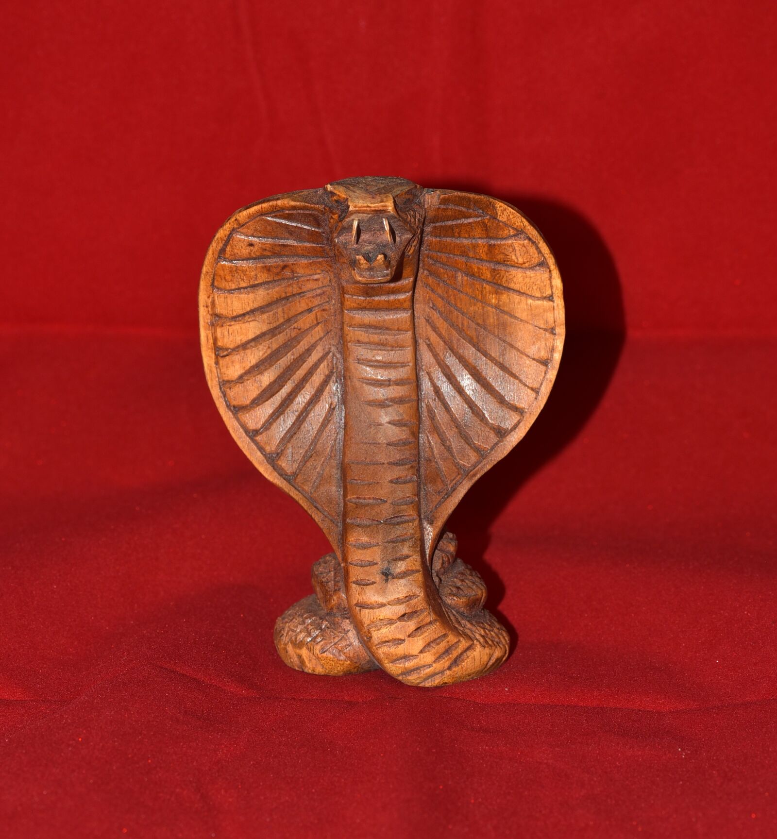 Nikon D750 sample photo. Cobra, wood, snake photography