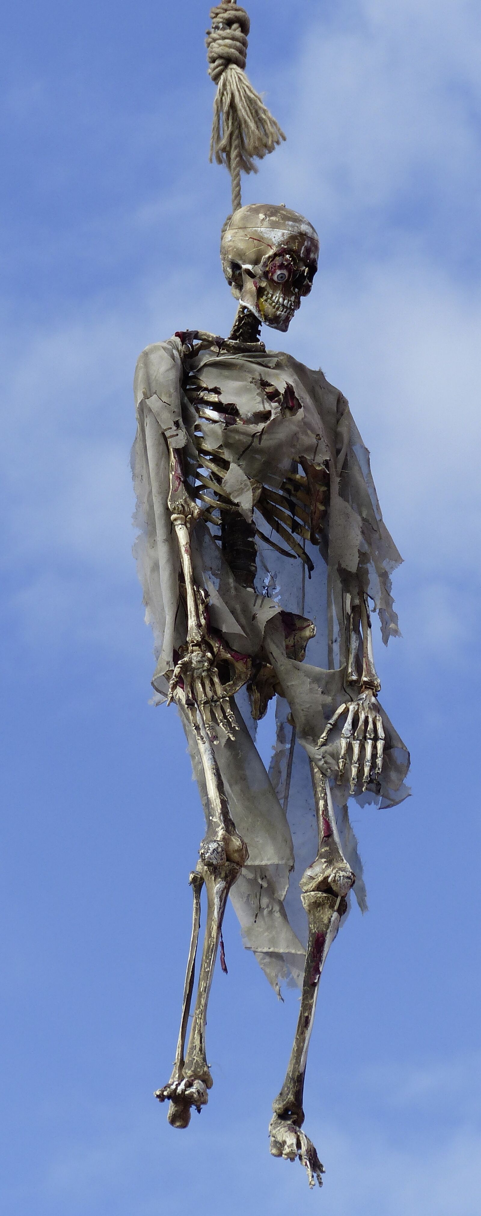 Panasonic Lumix DMC-FZ200 sample photo. Skeleton, gallows, death photography