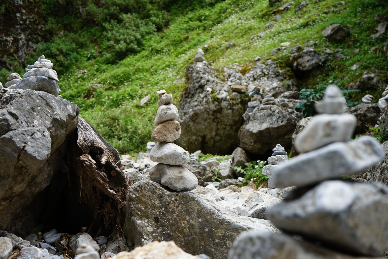 Sony a7 + Sony FE 28-70mm F3.5-5.6 OSS sample photo. Zen, ytong, imbros george photography