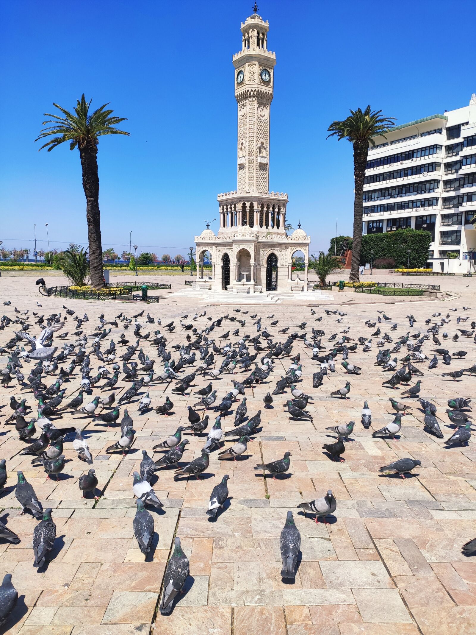 Xiaomi Mi 9T sample photo. Pigeon, izmir, clock tower photography