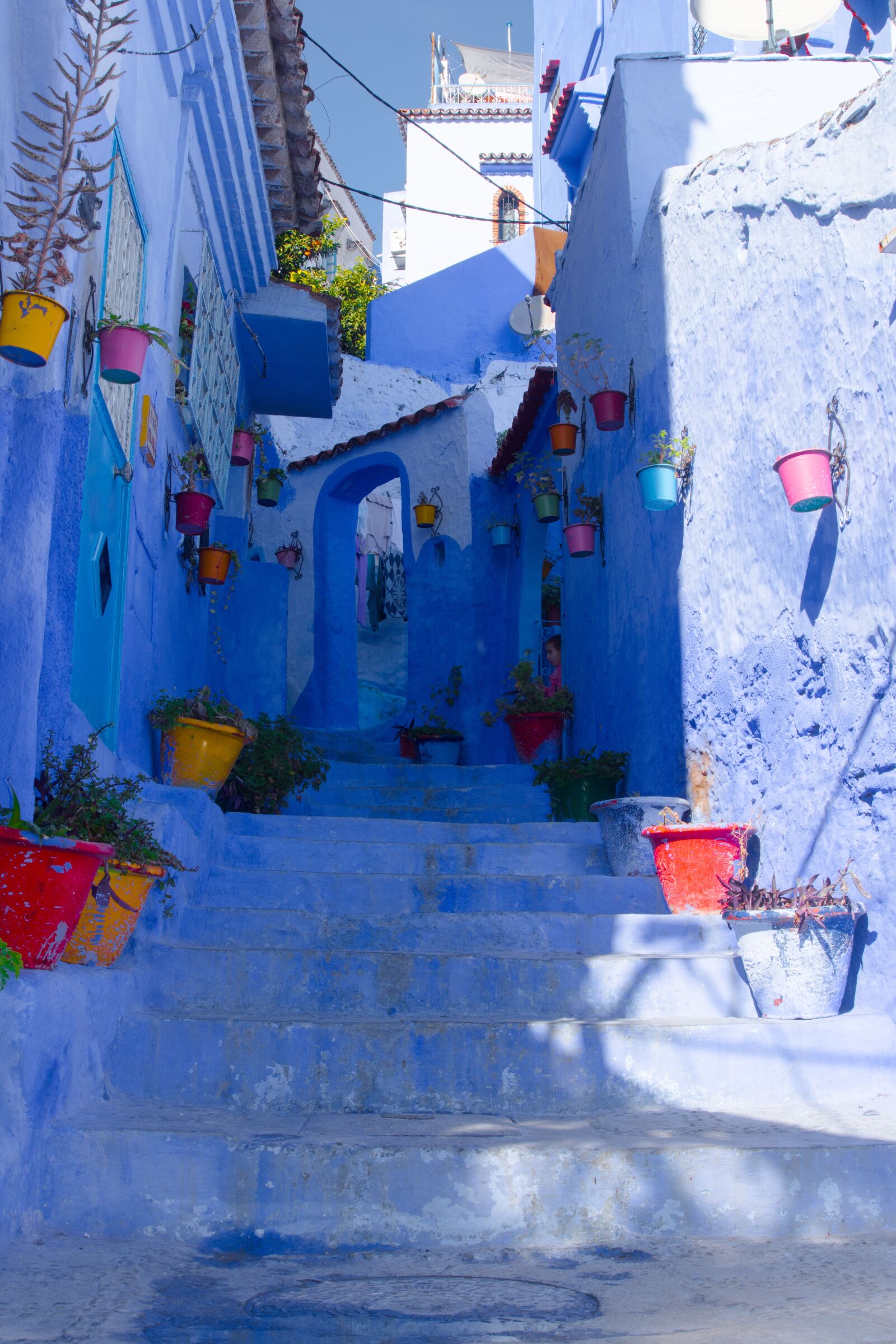 Nikon D7200 sample photo. Blue, color, colorful photography