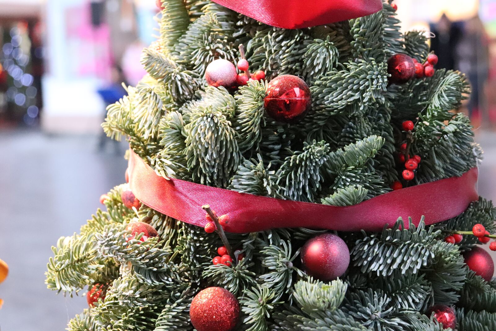 Canon EOS 200D (EOS Rebel SL2 / EOS Kiss X9) sample photo. Christmas decoration, street, lights photography
