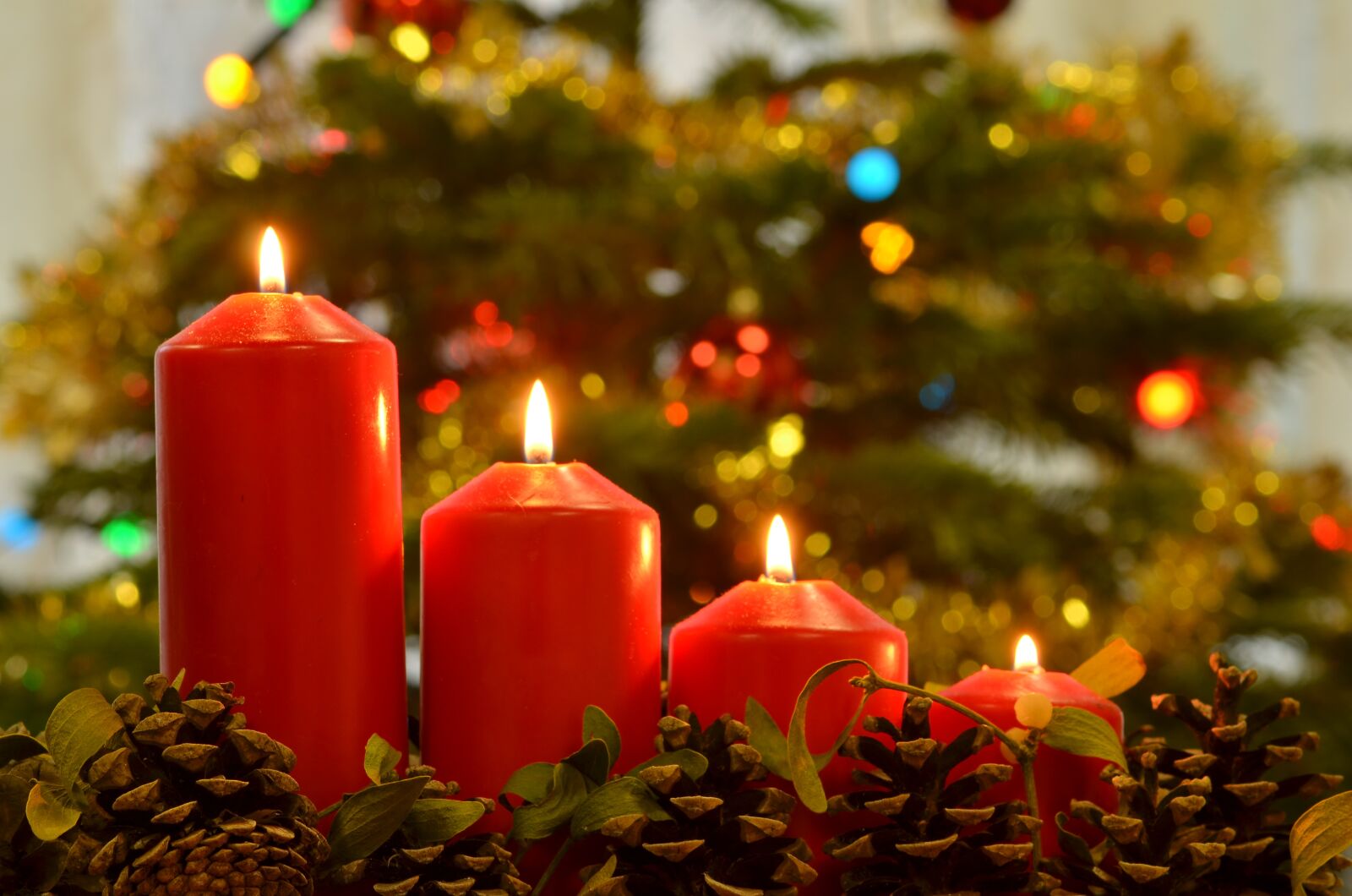 Nikon D5100 sample photo. Christmas pictures, candles, christmas photography